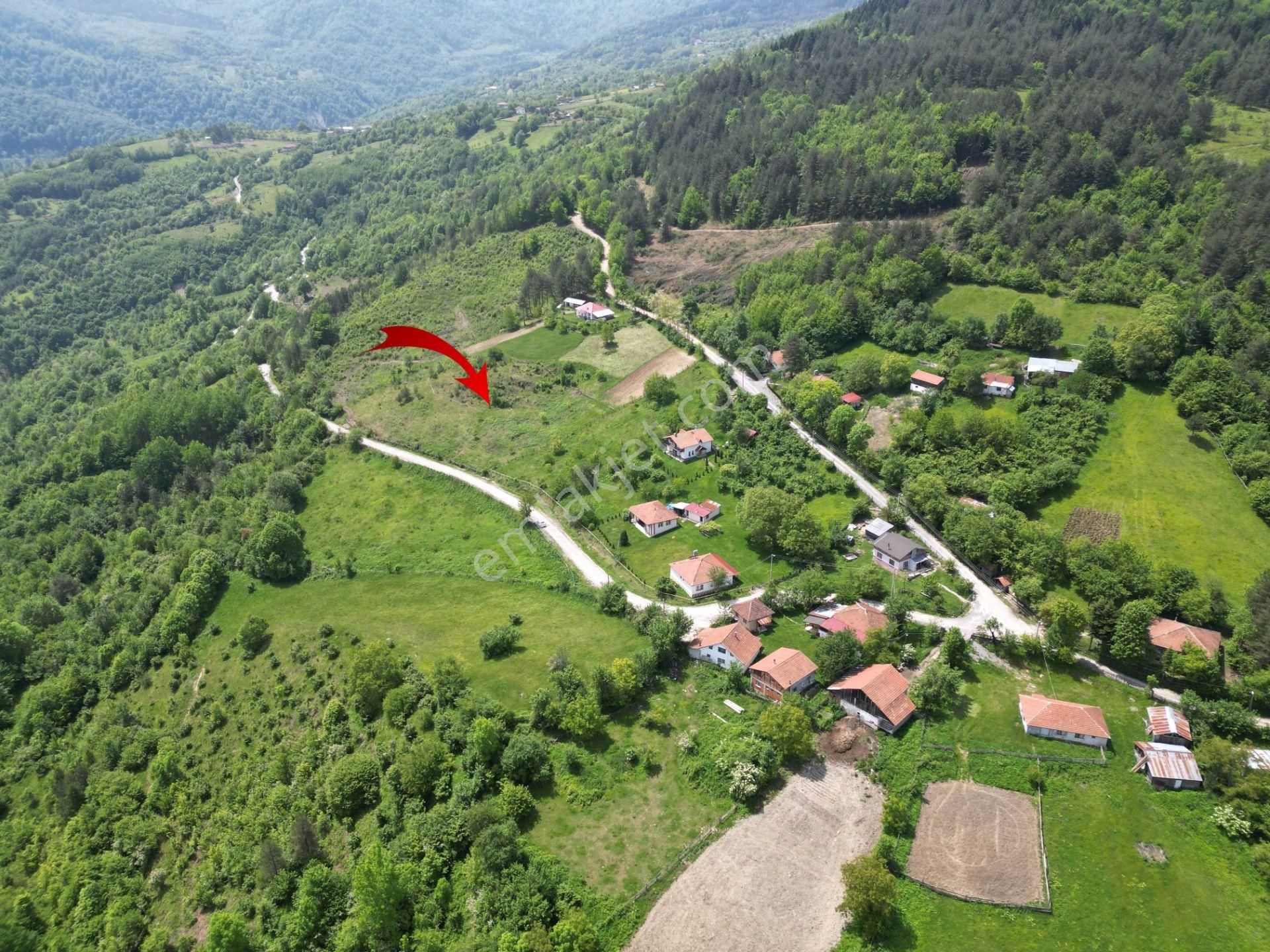 Bir Emlak'tan Derdin Köyü'nde Doğa Manzaralı 3260m2 Satılık Arsa - Görsel 5