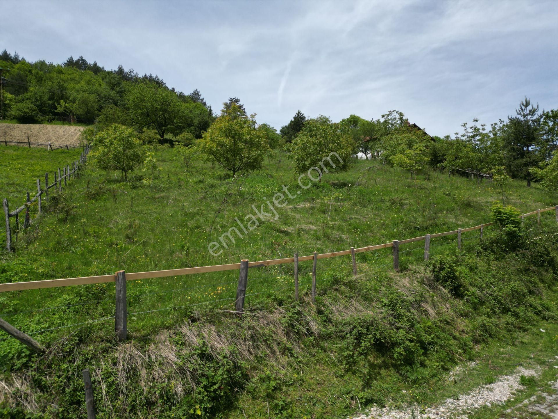 Bir Emlak'tan Derdin Köyü'nde Doğa Manzaralı 3260m2 Satılık Arsa - Görsel 20