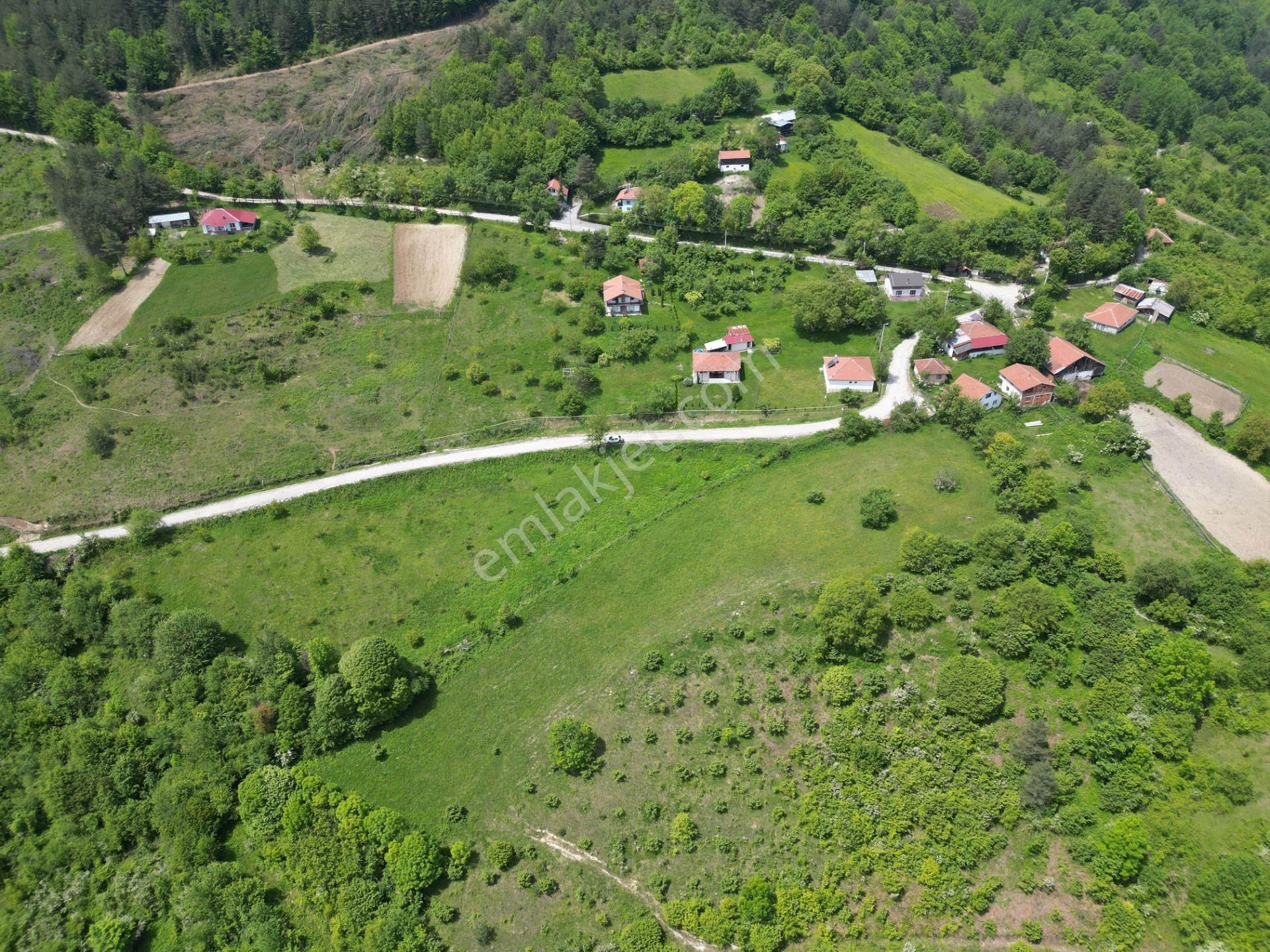 Bir Emlak'tan Derdin Köyü'nde Doğa Manzaralı 3260m2 Satılık Arsa - Görsel 3