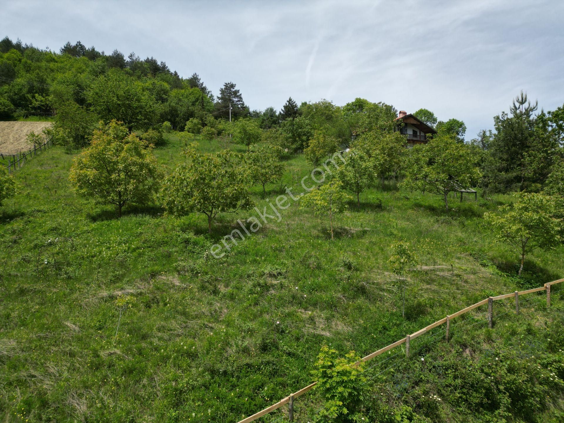 Bir Emlak'tan Derdin Köyü'nde Doğa Manzaralı 3260m2 Satılık Arsa - Görsel 16