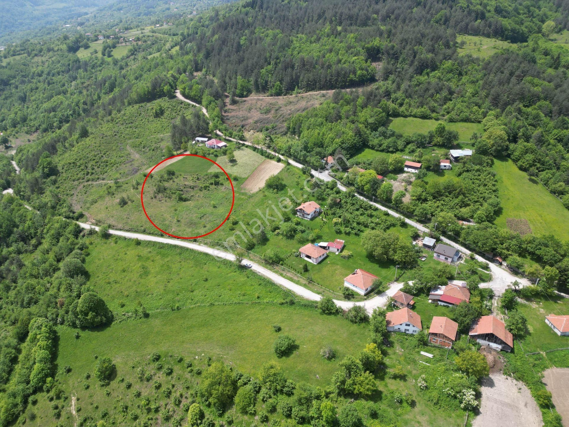 Bir Emlak'tan Derdin Köyü'nde Doğa Manzaralı 3260m2 Satılık Arsa - Görsel 4