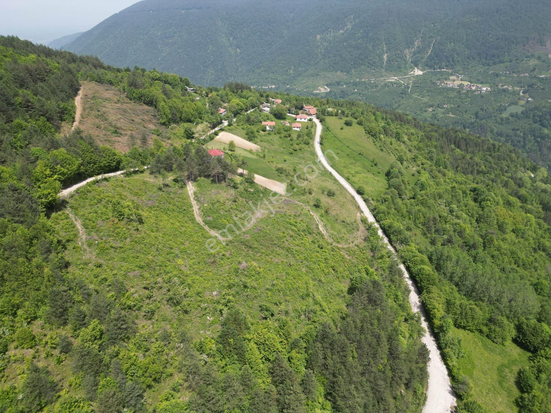 Bir Emlak'tan Derdin Köyü'nde Doğa Manzaralı 3260m2 Satılık Arsa - Görsel 12