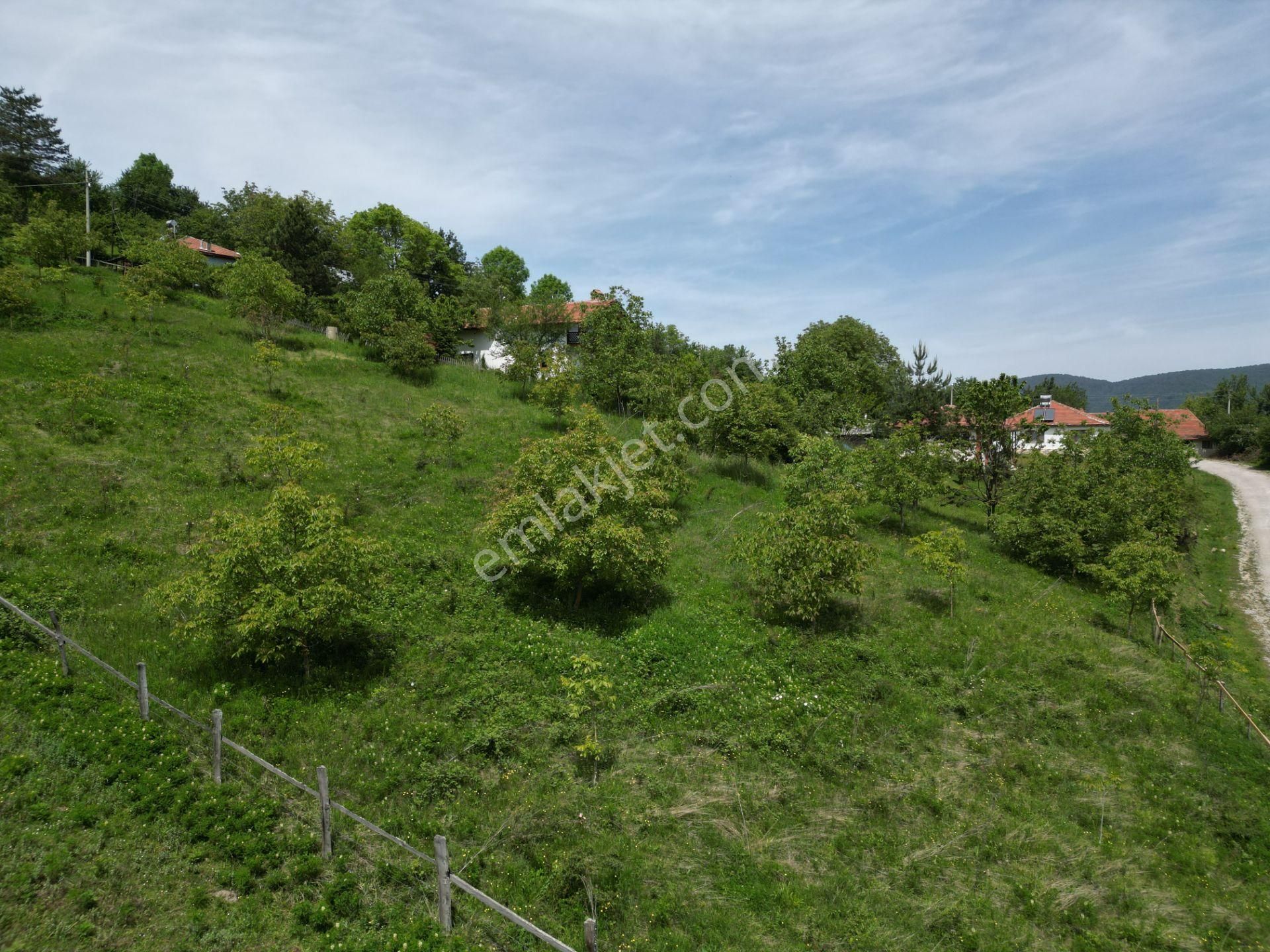 Bir Emlak'tan Derdin Köyü'nde Doğa Manzaralı 3260m2 Satılık Arsa - Görsel 17