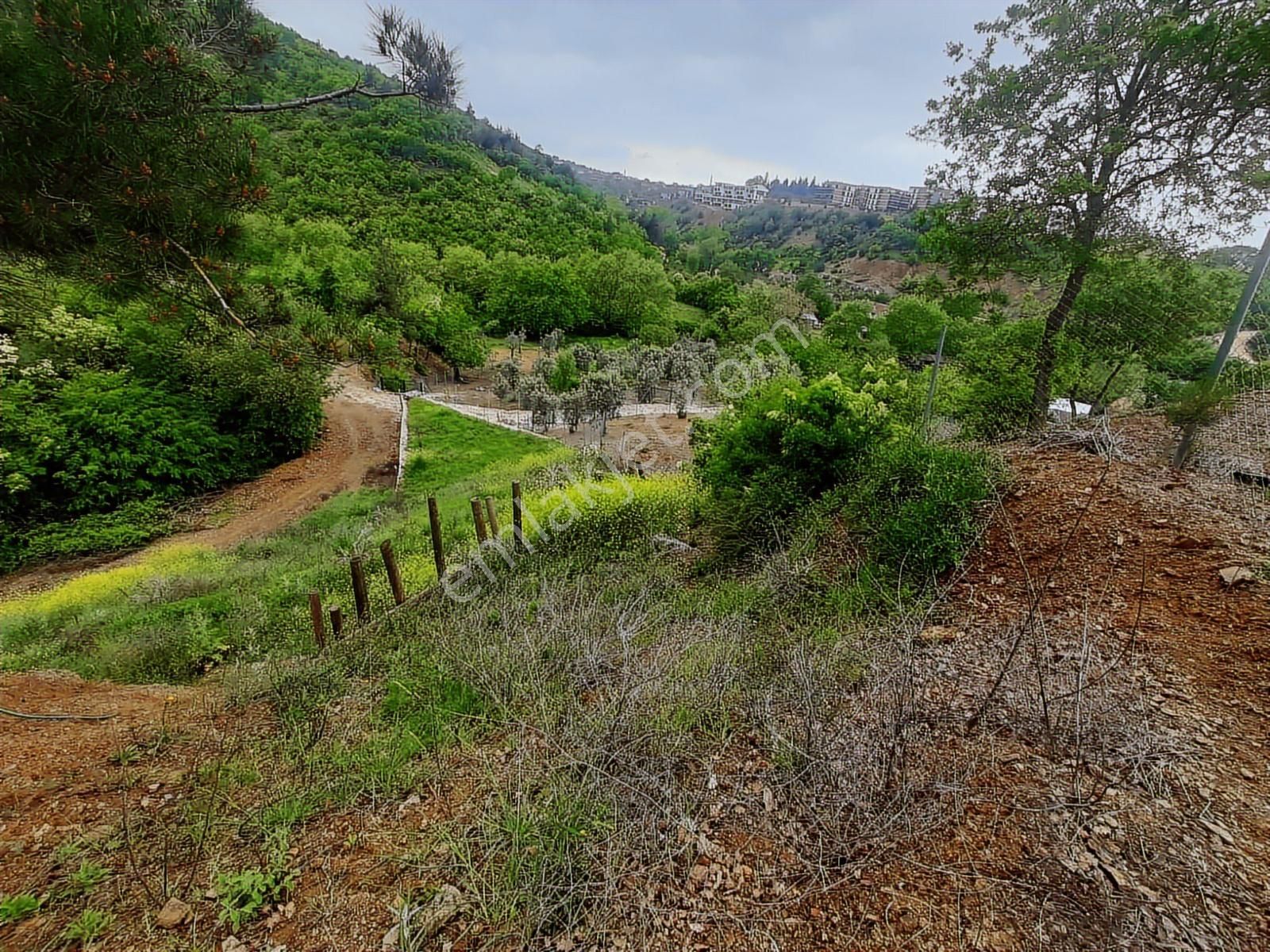 Bursa Kayapa Zafer İmara Çok Yakın Satılık 300 Metrekare Tarla