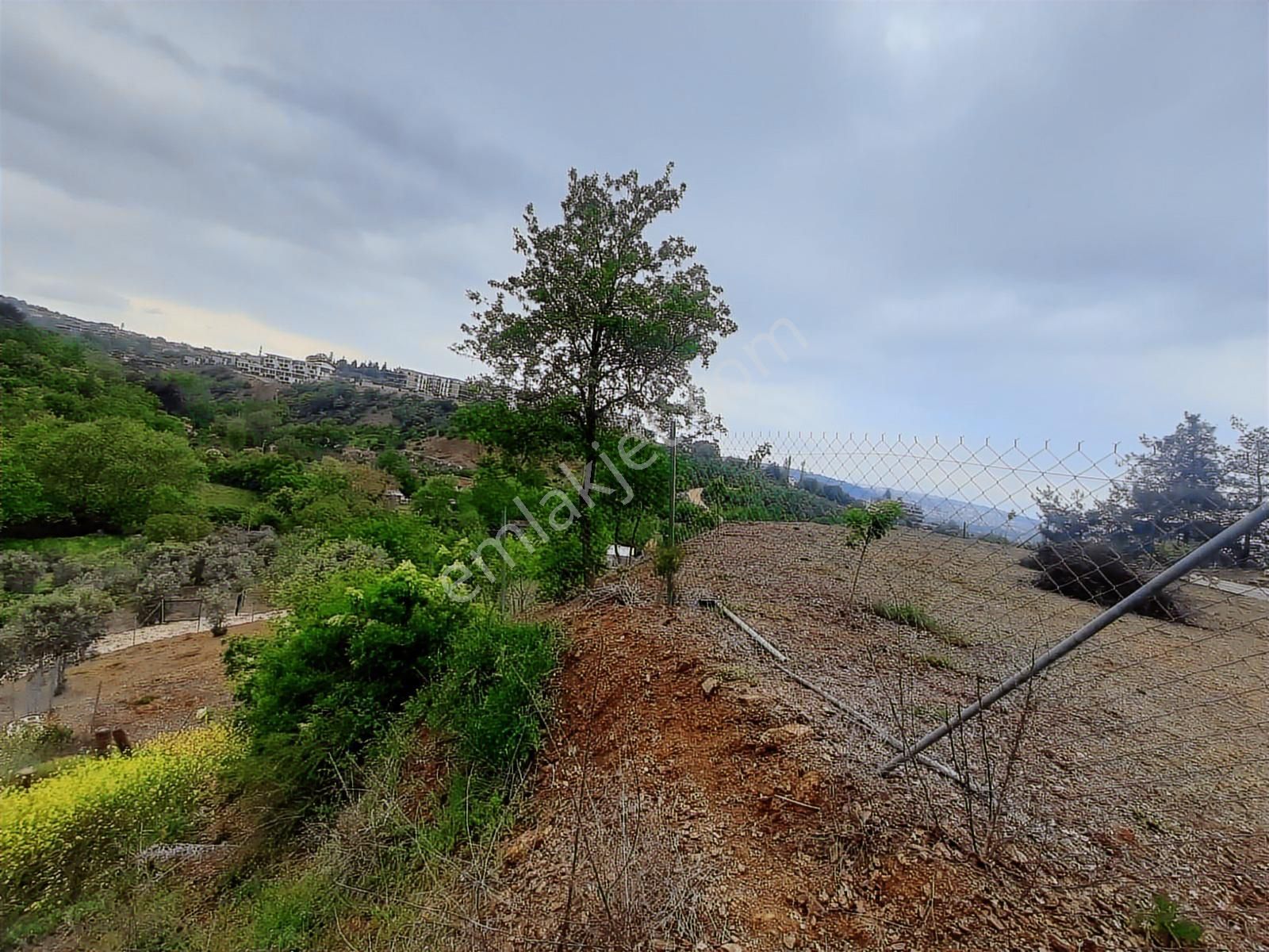 Bursa Kayapa Zafer İmara Çok Yakın Satılık 300 Metrekare Tarla - Görsel 5