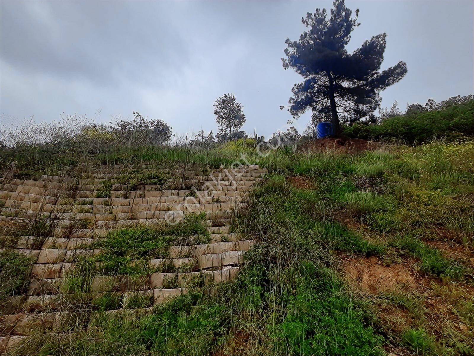 Bursa Kayapa Zafer İmara Çok Yakın Satılık 300 Metrekare Tarla - Görsel 12