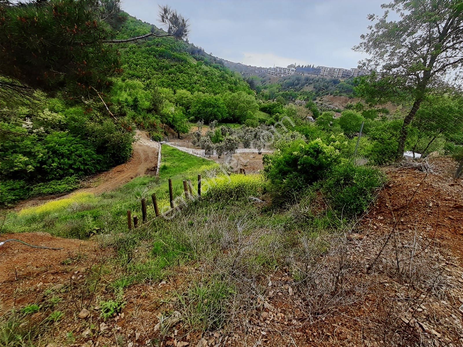 Bursa Kayapa Zafer İmara Çok Yakın Satılık 300 Metrekare Tarla - Görsel 3