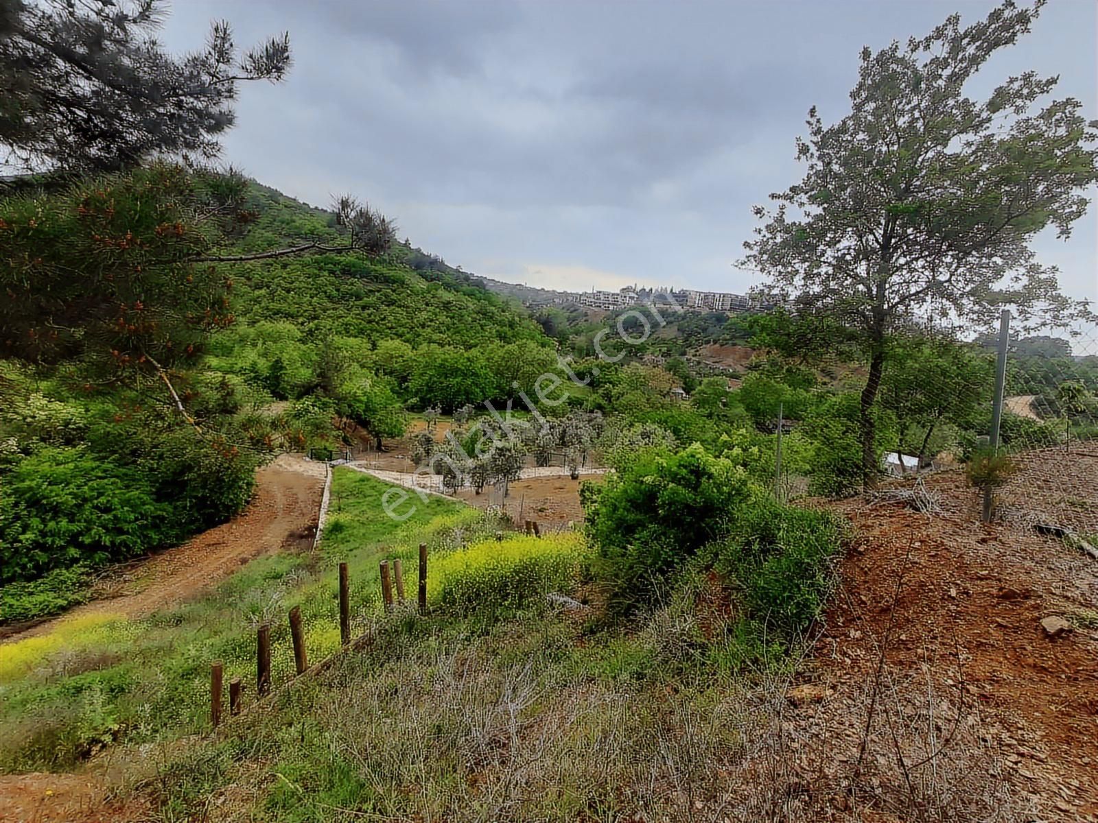 Bursa Kayapa Zafer İmara Çok Yakın Satılık 300 Metrekare Tarla - Görsel 4