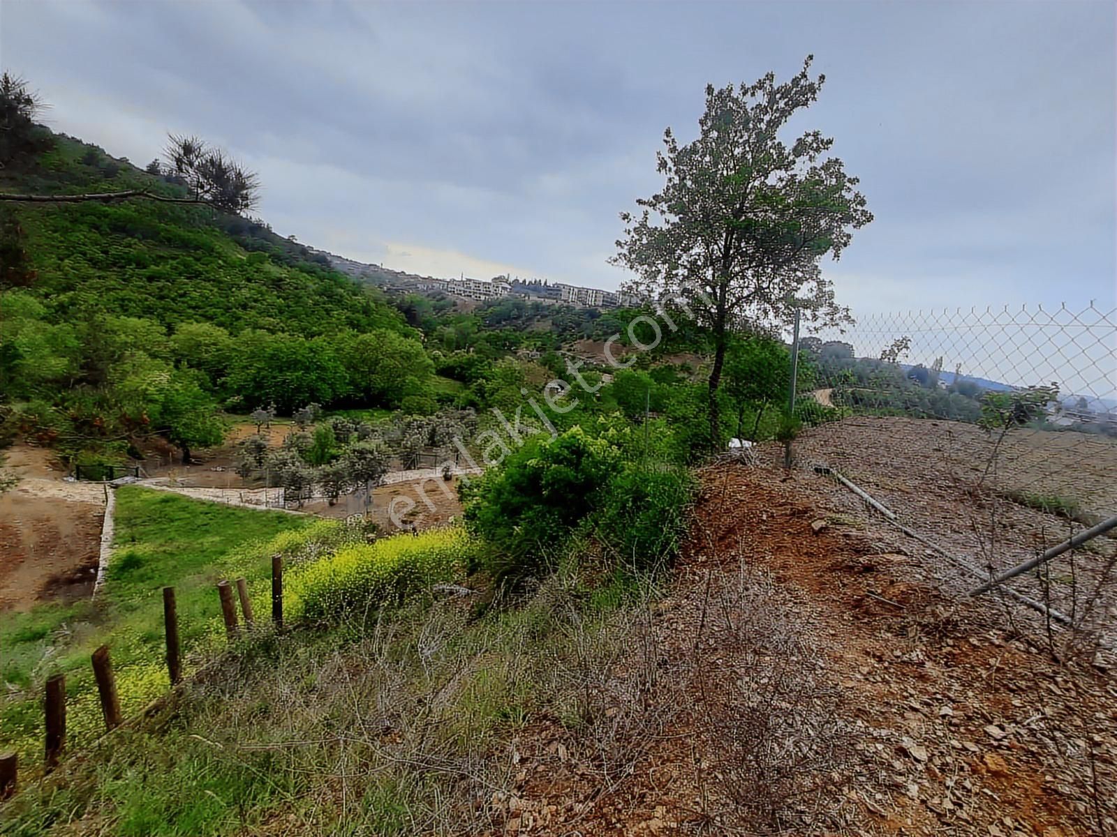 Bursa Kayapa Zafer İmara Çok Yakın Satılık 300 Metrekare Tarla - Görsel 6
