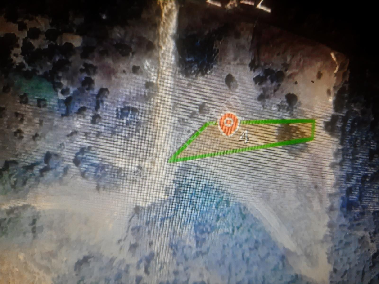 Bursa Mudanya Çepni Yatırımlık Köşe Parsel 29 Adet Zeytin Ağacı - Görsel 2