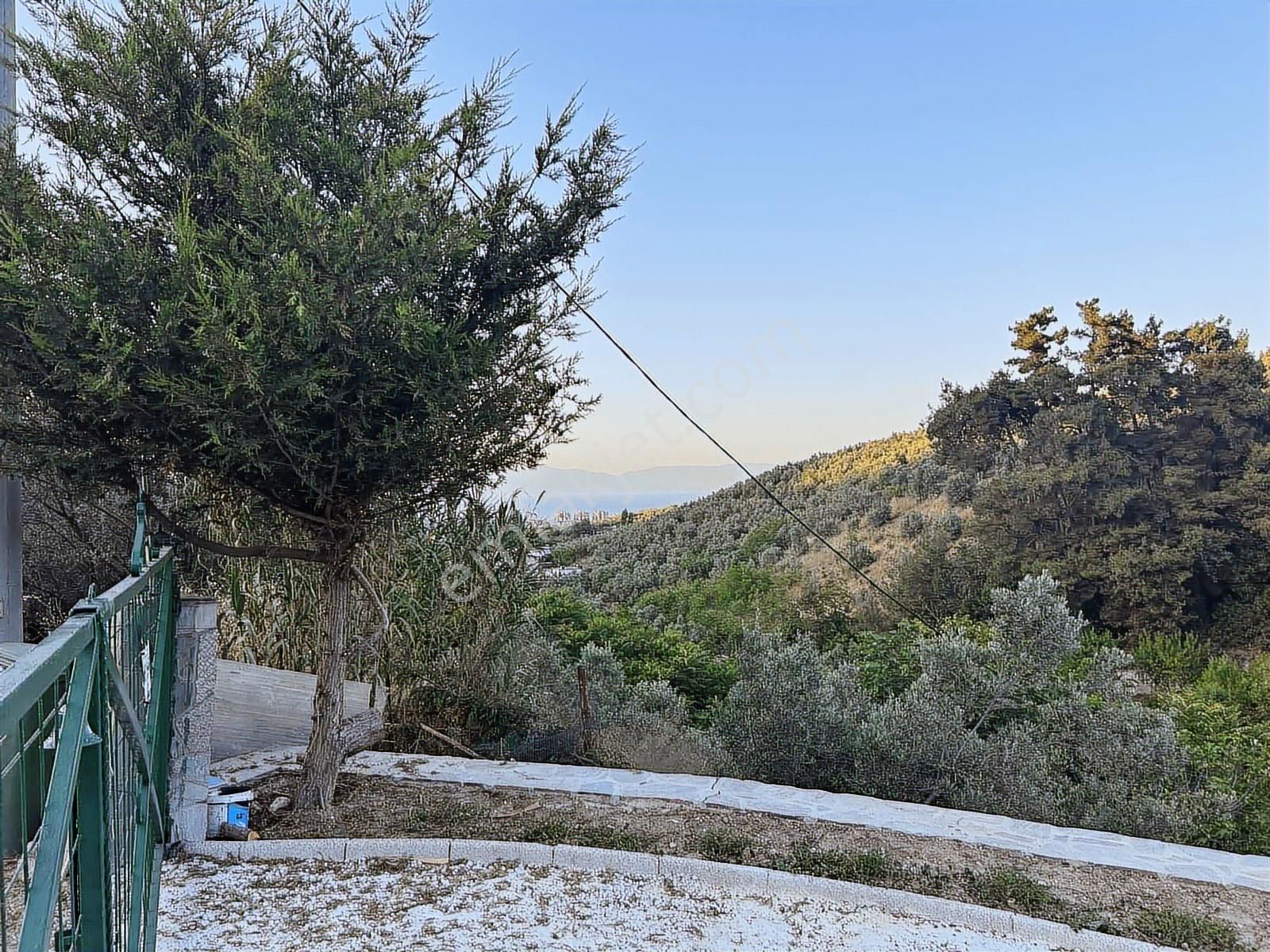 Bademli Mudanya Yolunda Yola Cephe Muhteşem Manzaralı Arazi - Görsel 14