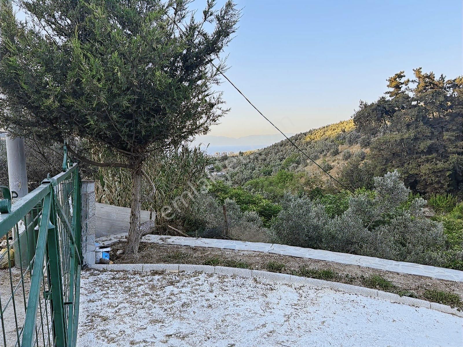 Bademli Mudanya Yolunda Yola Cephe Muhteşem Manzaralı Arazi - Görsel 5