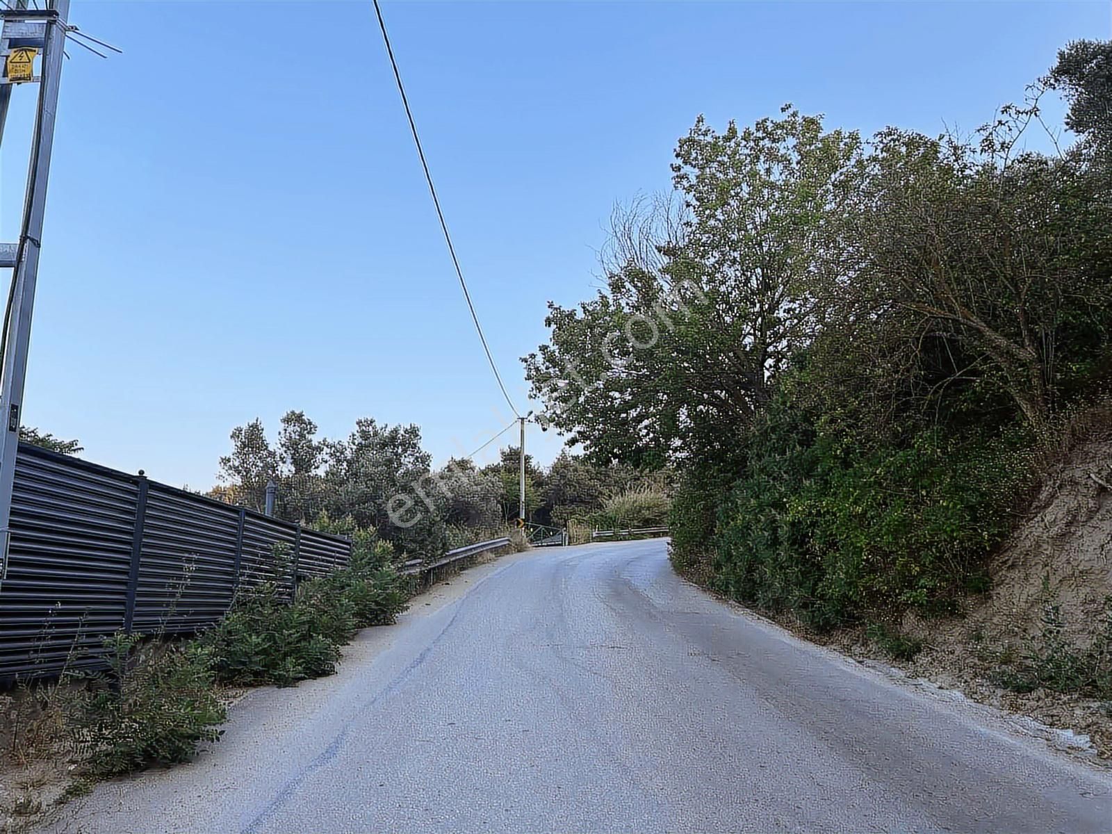 Bademli Mudanya Yolunda Yola Cephe Muhteşem Manzaralı Arazi - Görsel 9