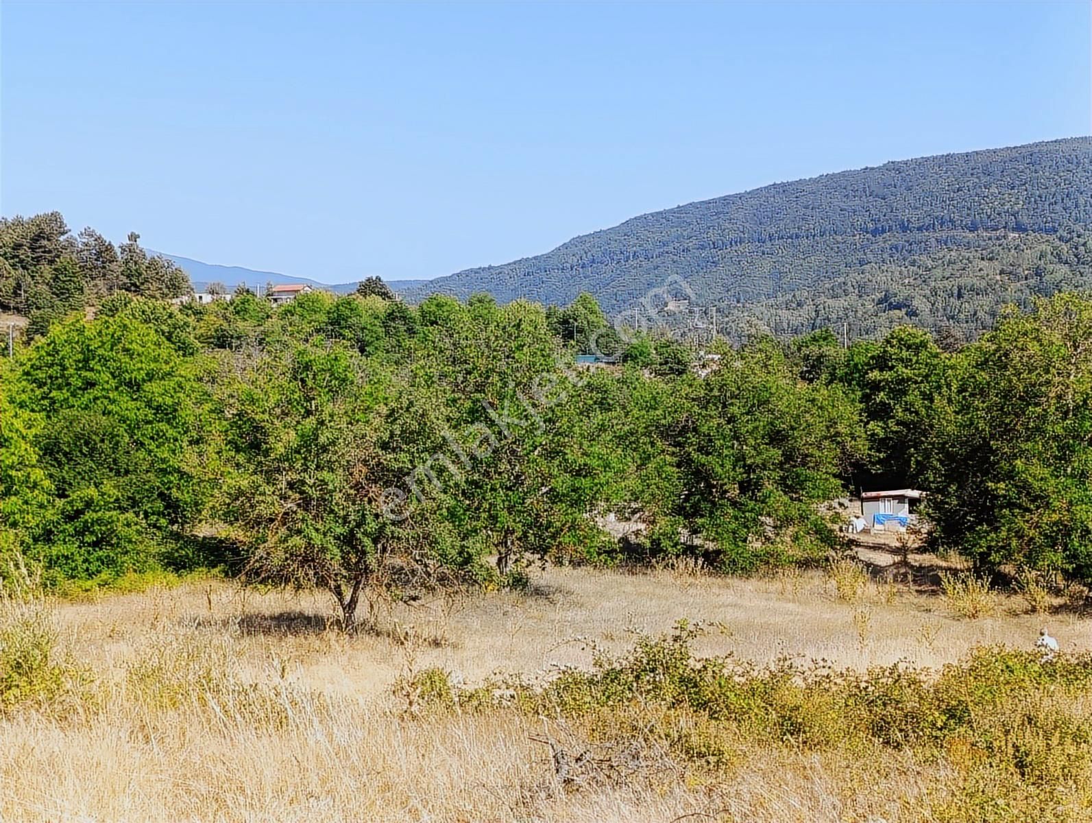 Osmangazi Küçükdeliller De Üç Cephesi Açık Satılık Arazi