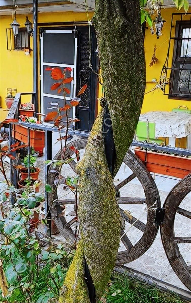 İnegöl Karagölet Bağ Çiftlikevi - Görsel 32