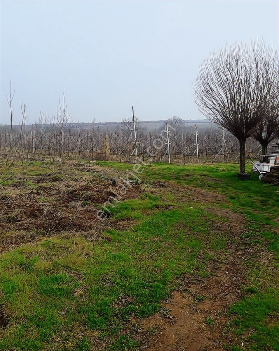 İnegöl Karagölet Bağ Çiftlikevi - Görsel 34