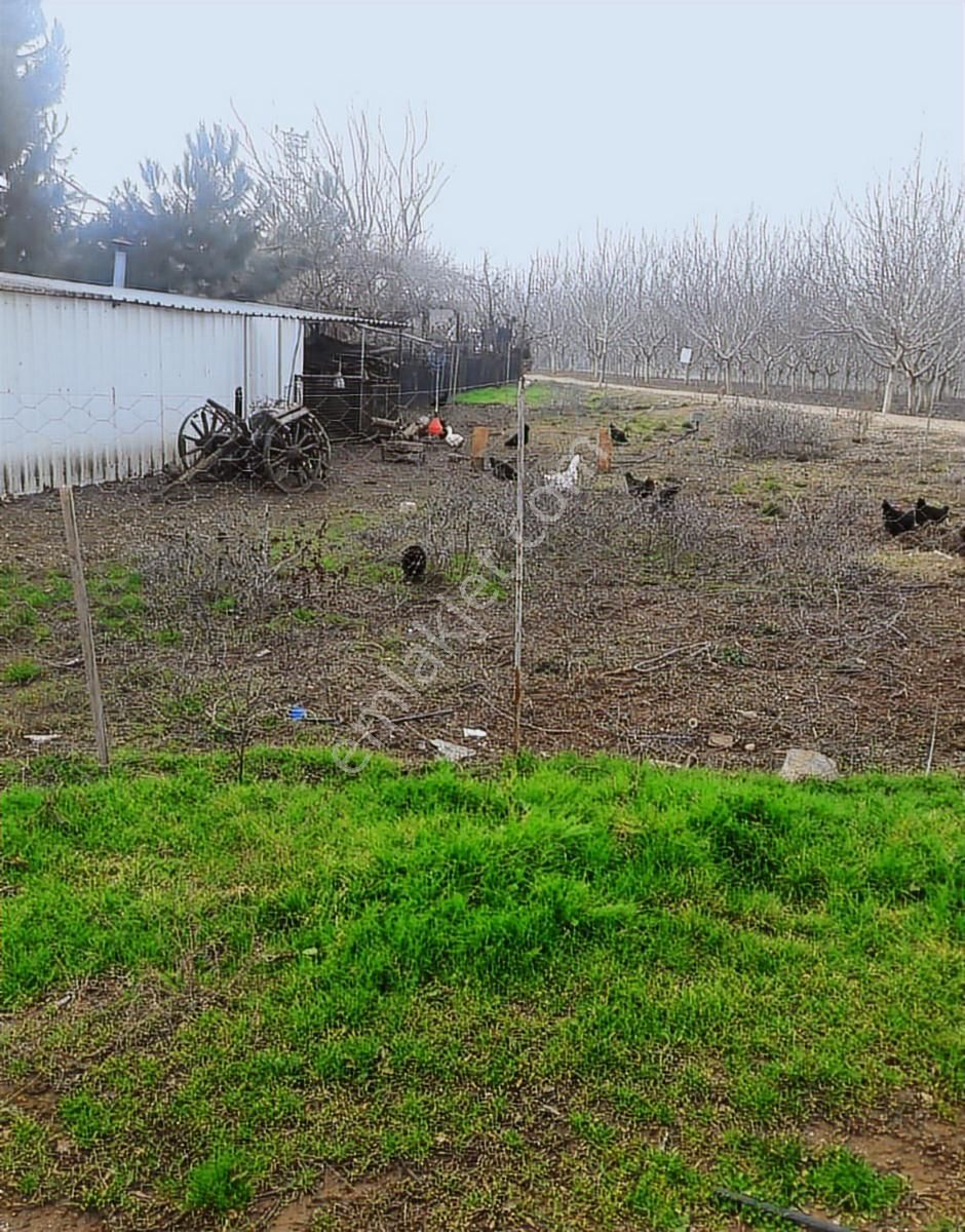 İnegöl Karagölet Bağ Çiftlikevi - Görsel 21