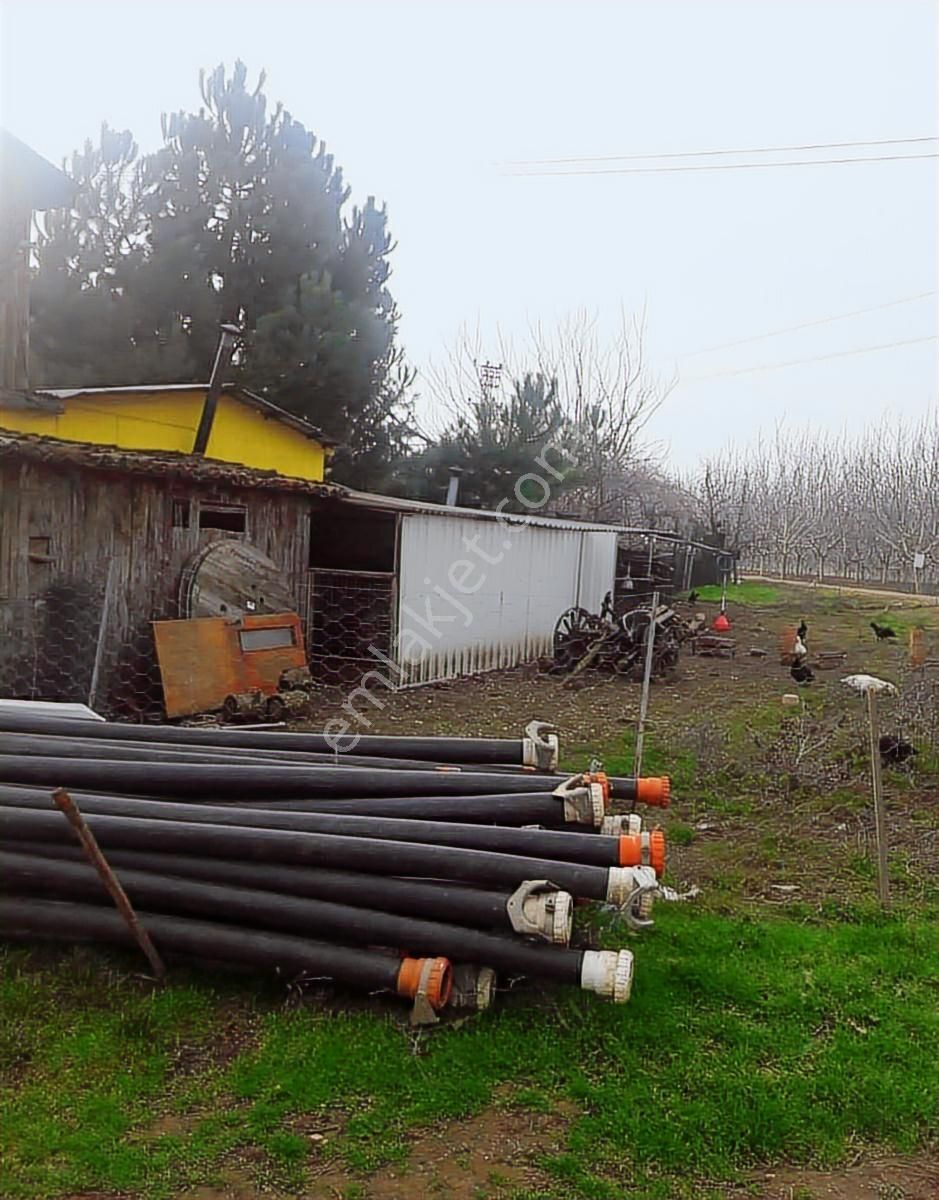 İnegöl Karagölet Bağ Çiftlikevi - Görsel 3