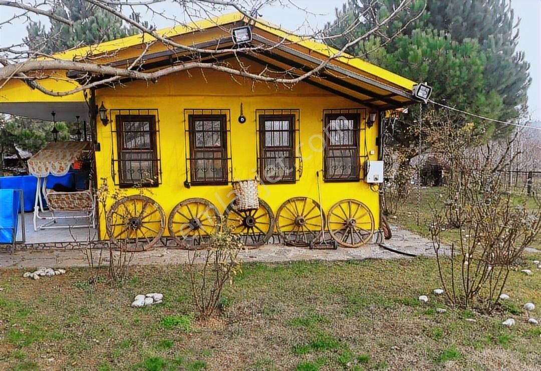 İnegöl Karagölet Bağ Çiftlikevi - Görsel 31