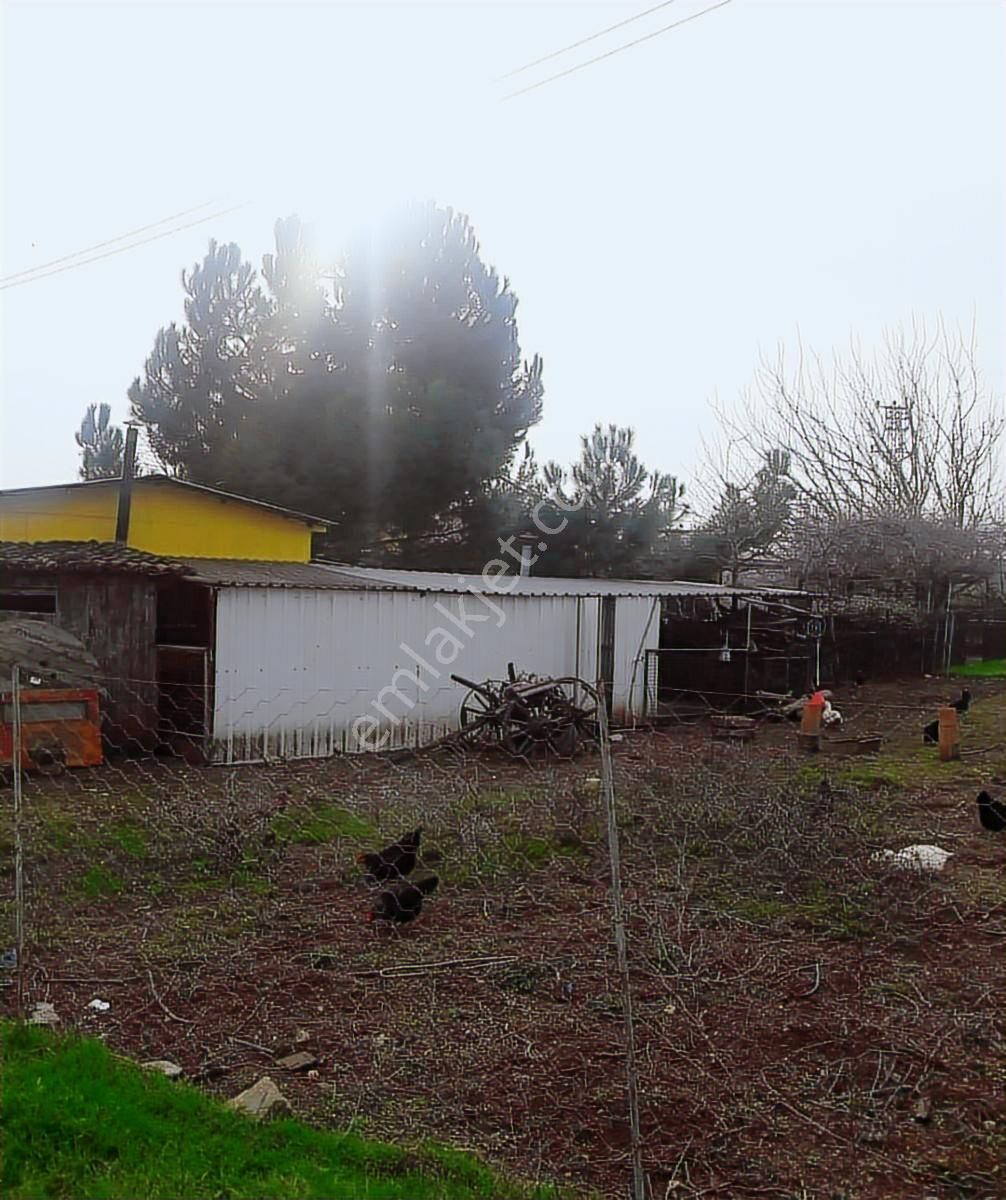 İnegöl Karagölet Bağ Çiftlikevi - Görsel 8