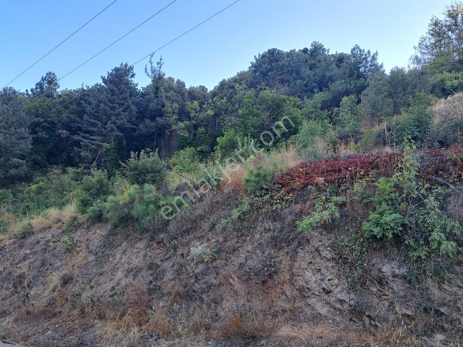 Doğancı Da Manzaralı Köy İçi Yola Cephe Satılık 1858 M2 Tarla - Görsel 10