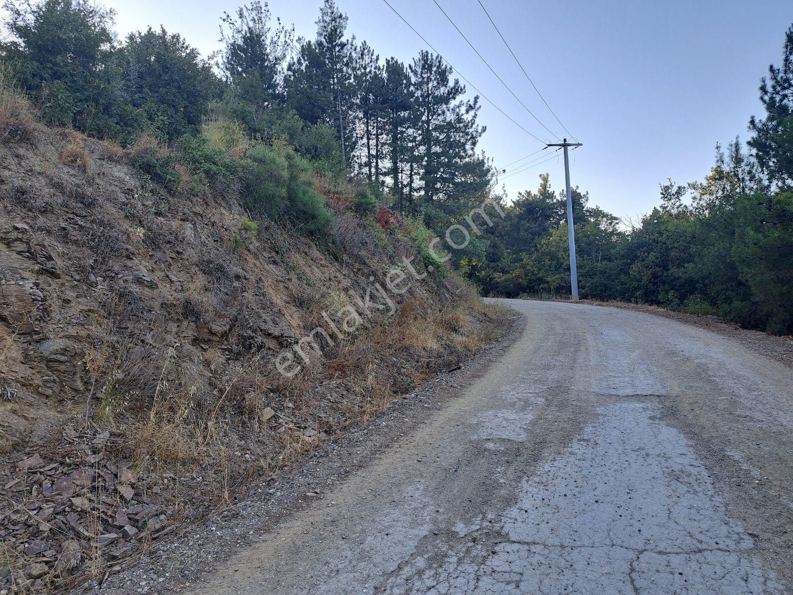 Doğancı Da Manzaralı Köy İçi Yola Cephe Satılık 1858 M2 Tarla - Görsel 7