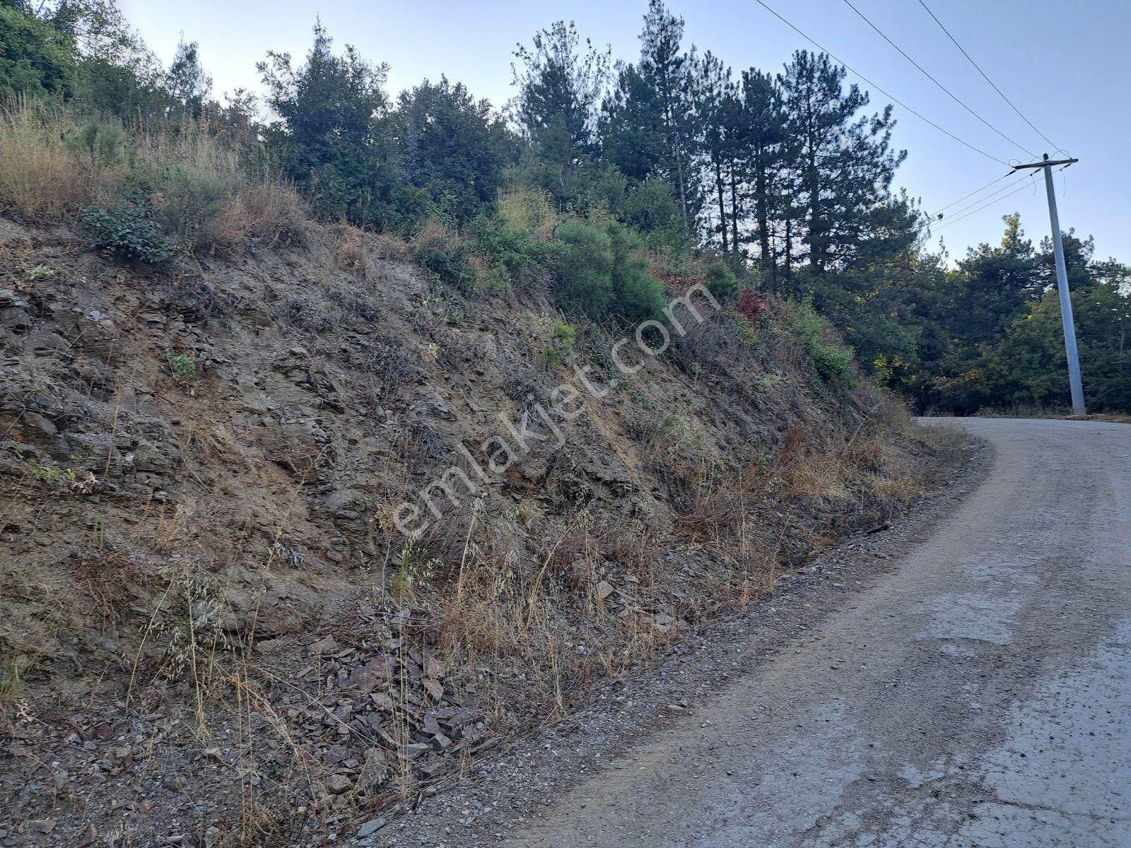 Doğancı Da Manzaralı Köy İçi Yola Cephe Satılık 1858 M2 Tarla - Görsel 3