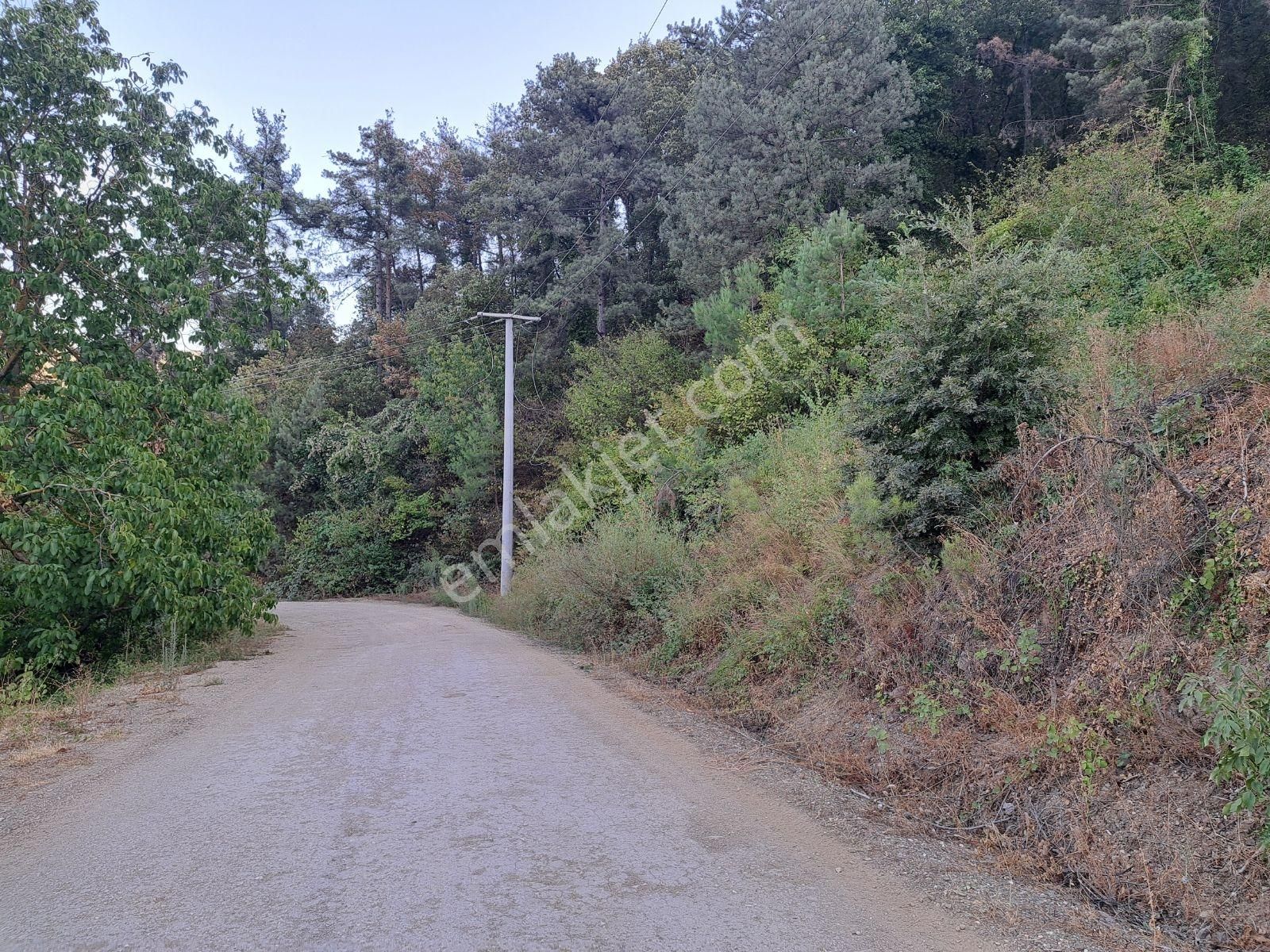 Doğancı Da Manzaralı Köy İçi Yola Cephe Satılık 1858 M2 Tarla