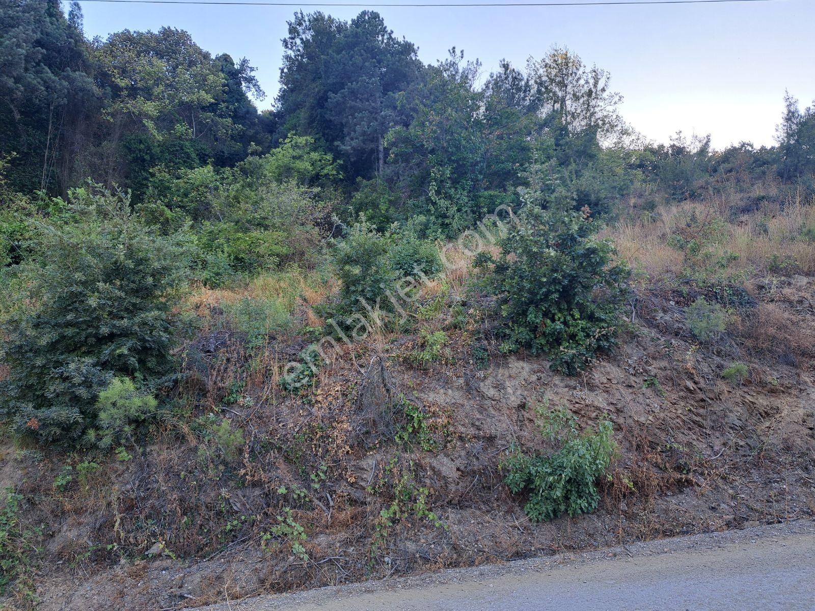 Doğancı Da Manzaralı Köy İçi Yola Cephe Satılık 1858 M2 Tarla - Görsel 8