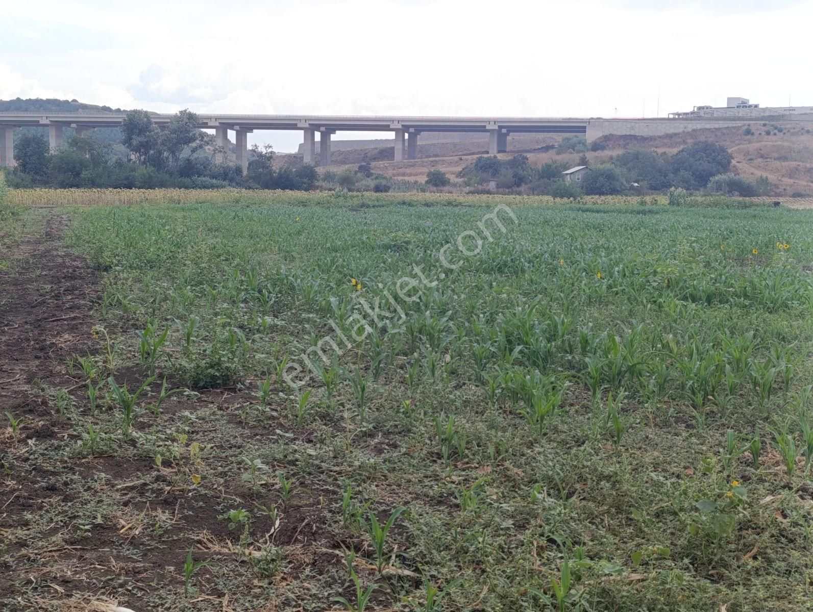 Yatırımın Kalbi Badırgada Yatırımlık Satılık Arazi - Görsel 14