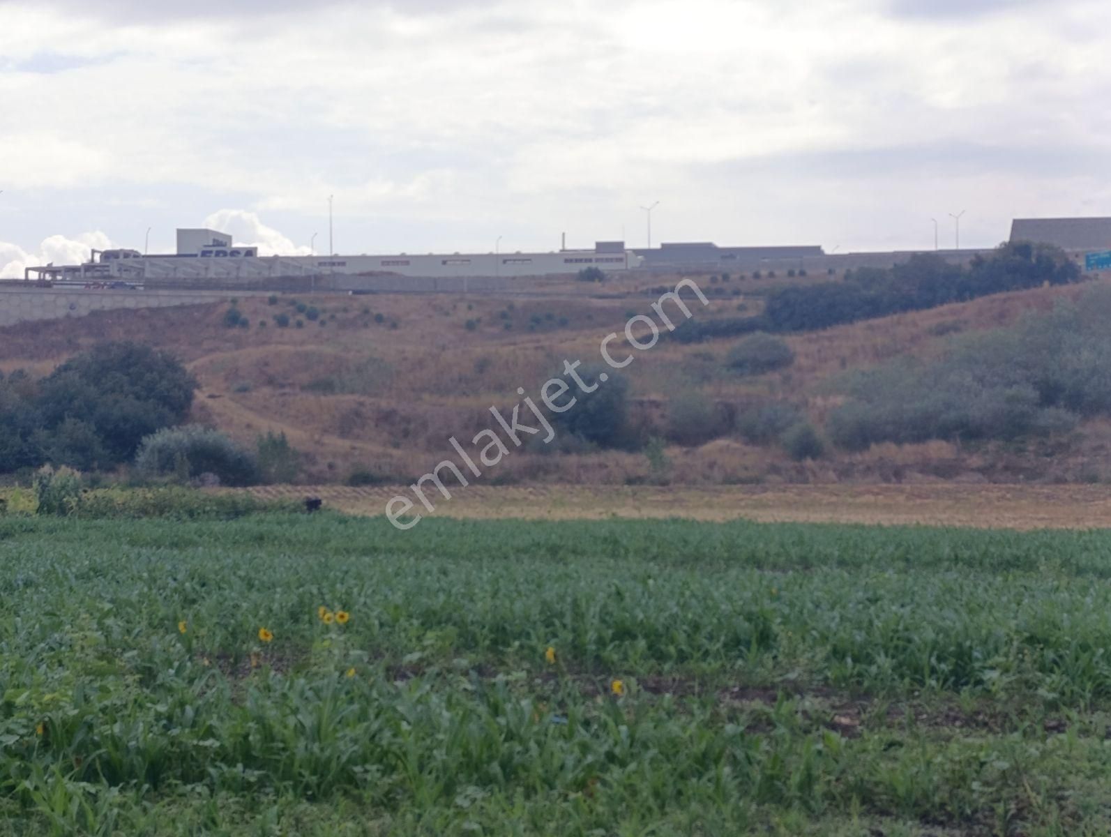Yatırımın Kalbi Badırgada Yatırımlık Satılık Arazi - Görsel 11