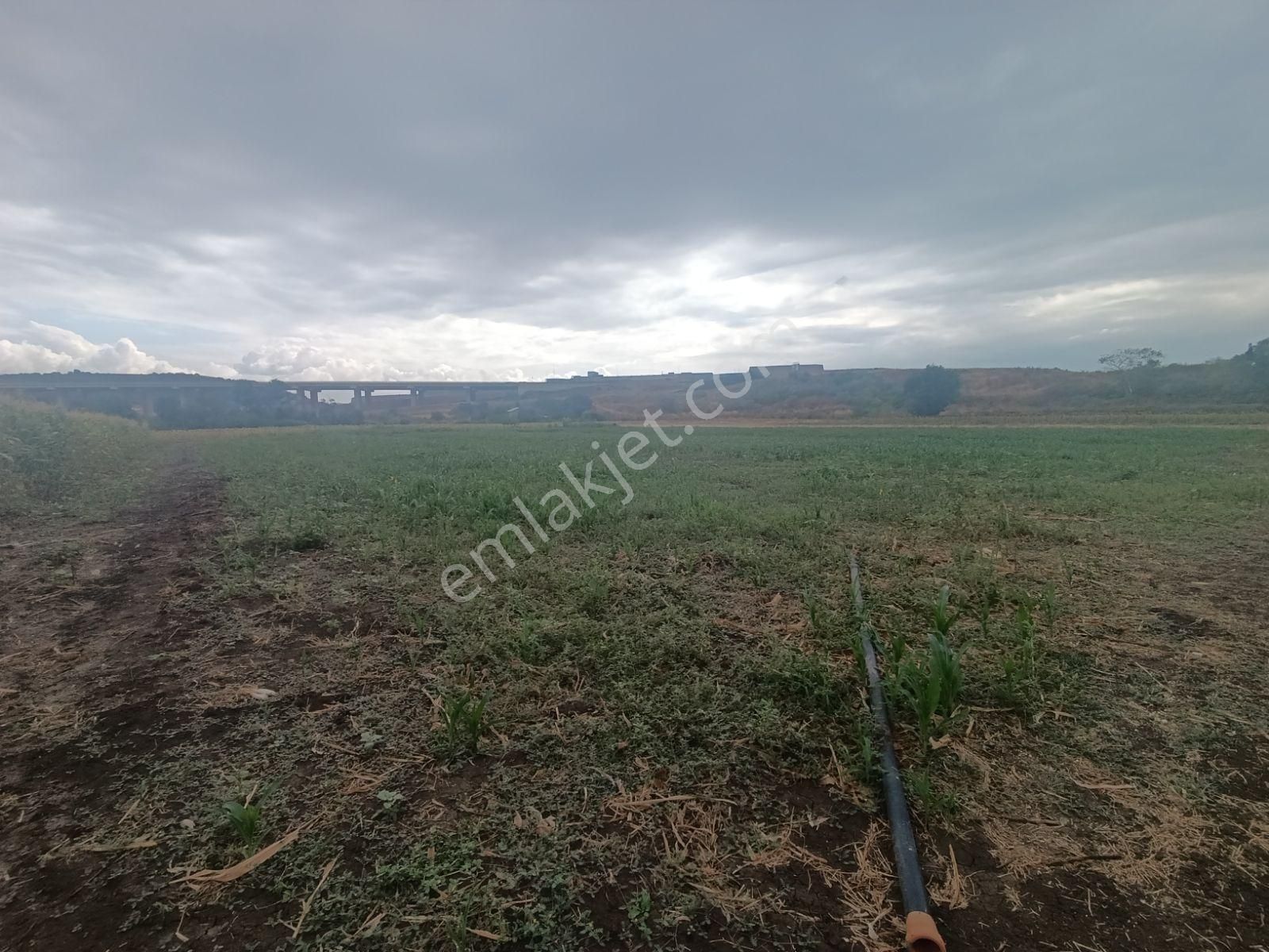 Yatırımın Kalbi Badırgada Yatırımlık Satılık Arazi - Görsel 16