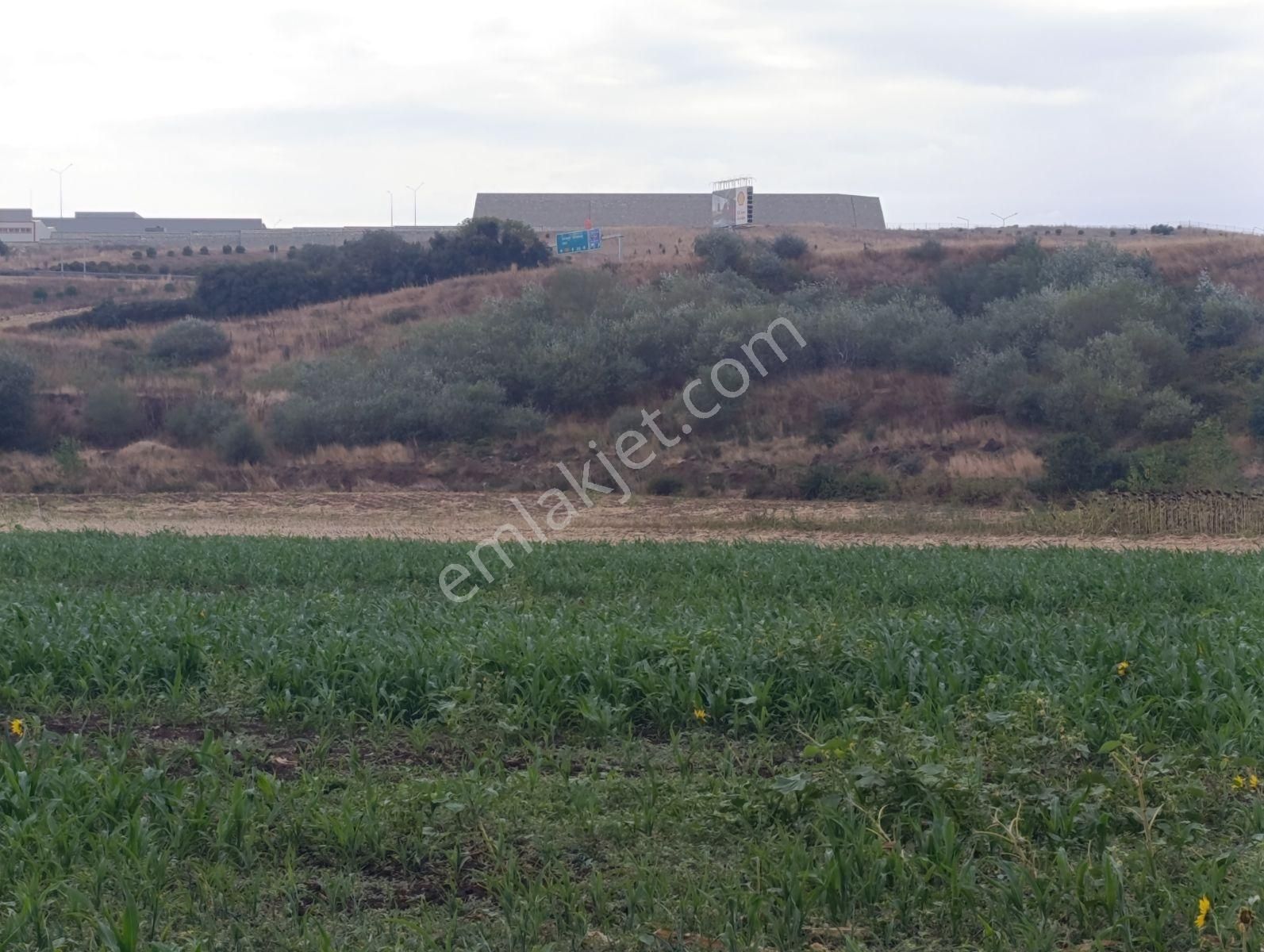 Yatırımın Kalbi Badırgada Yatırımlık Satılık Arazi - Görsel 12