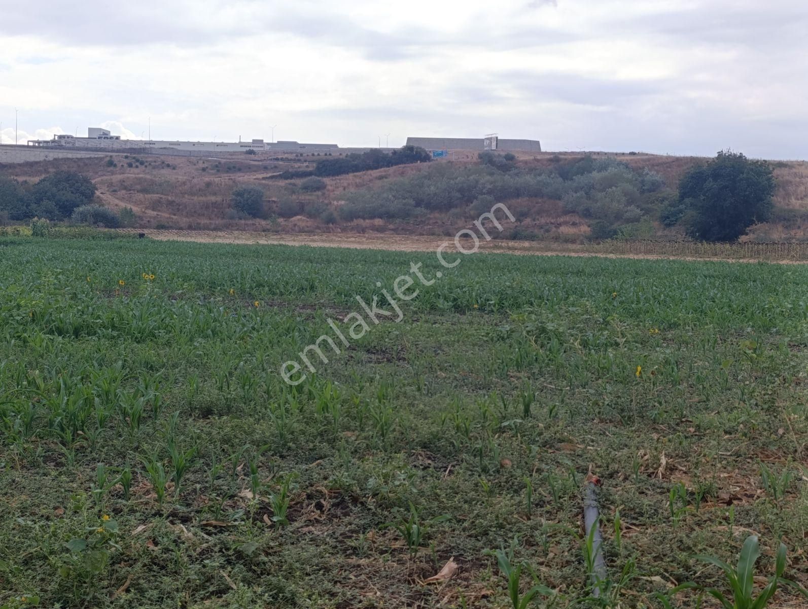 Yatırımın Kalbi Badırgada Yatırımlık Satılık Arazi - Görsel 15