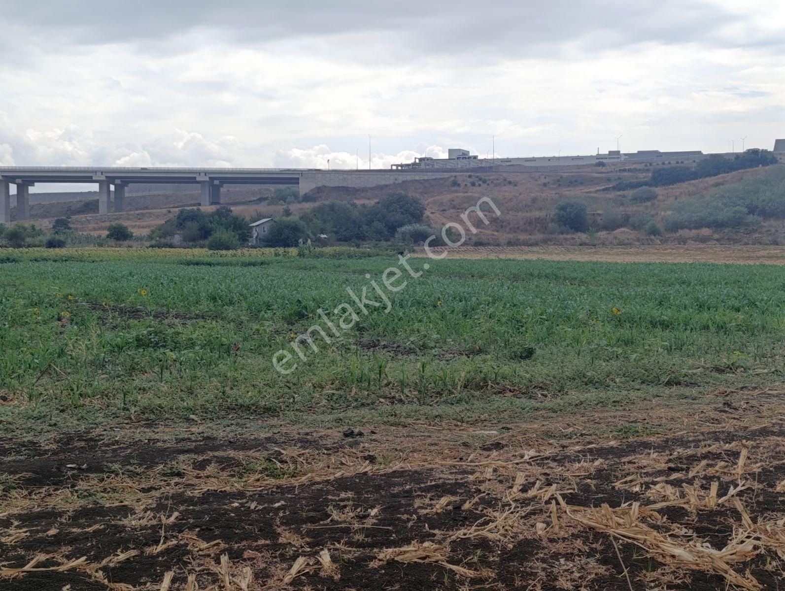 Yatırımın Kalbi Badırgada Yatırımlık Satılık Arazi - Görsel 7