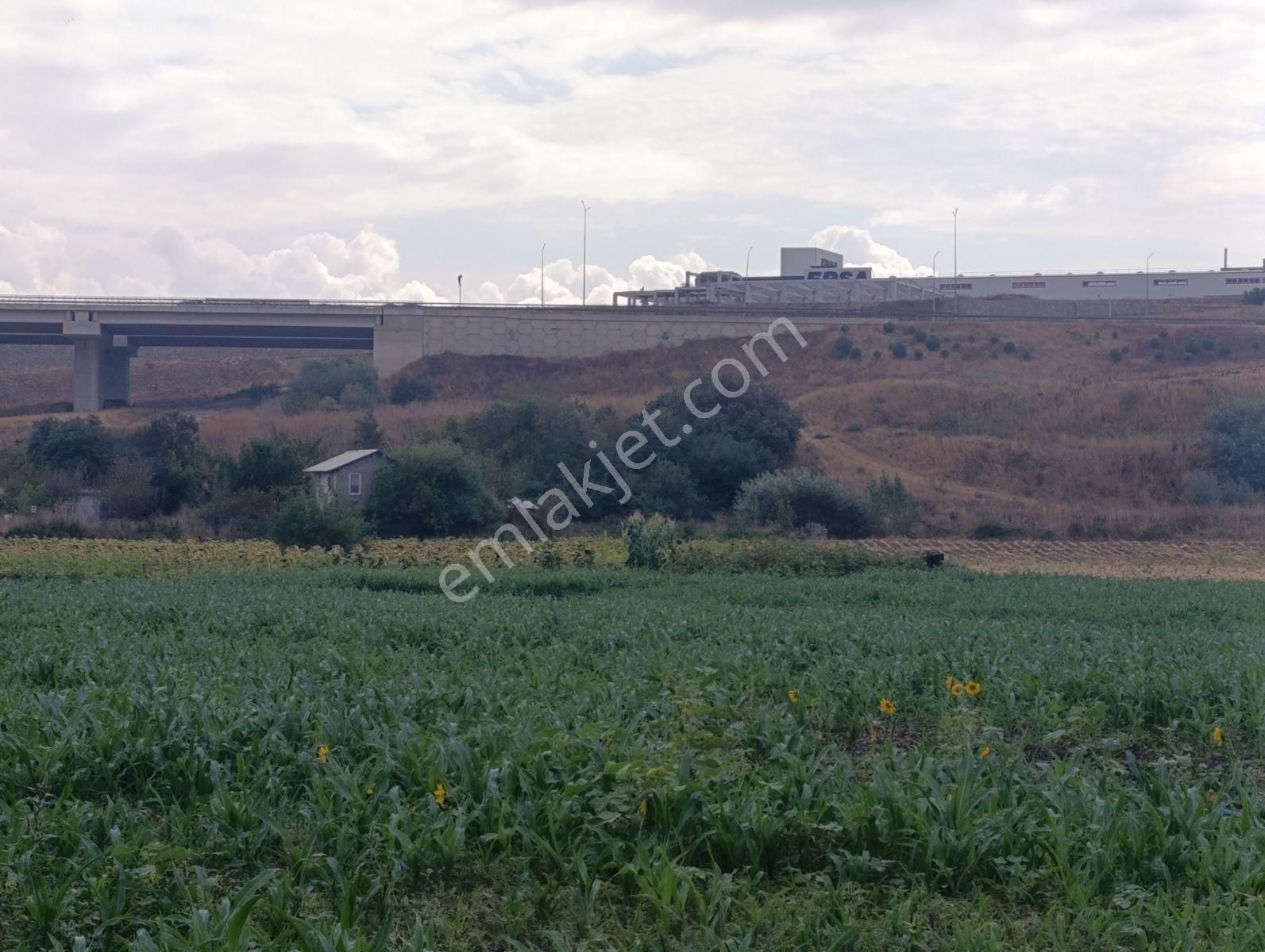 Yatırımın Kalbi Badırgada Yatırımlık Satılık Arazi - Görsel 13