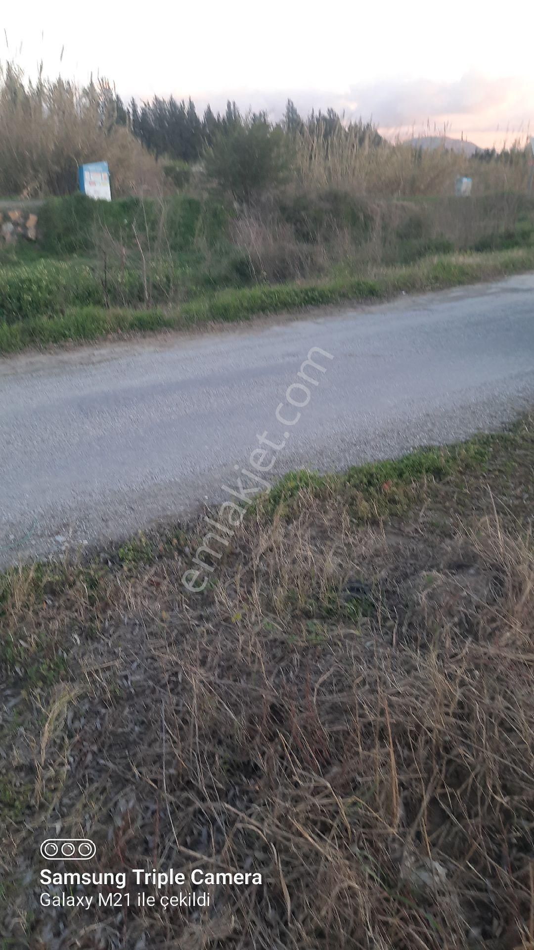 Ortaca Fevziye 2500 M2 Tarla - Görsel 4