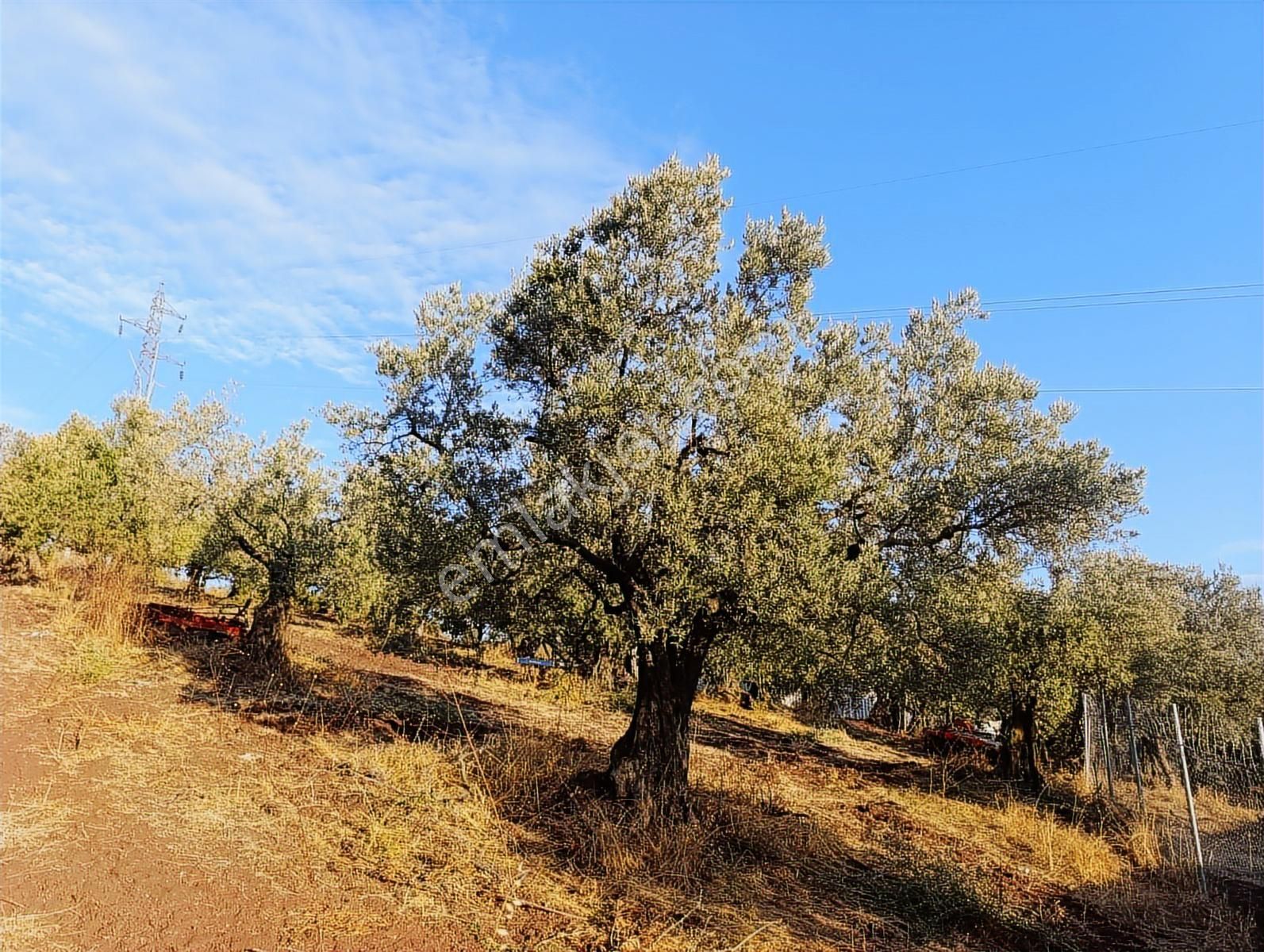 Dürdane Köyünde Villa İmarlı Satılık Arsa - Görsel 23