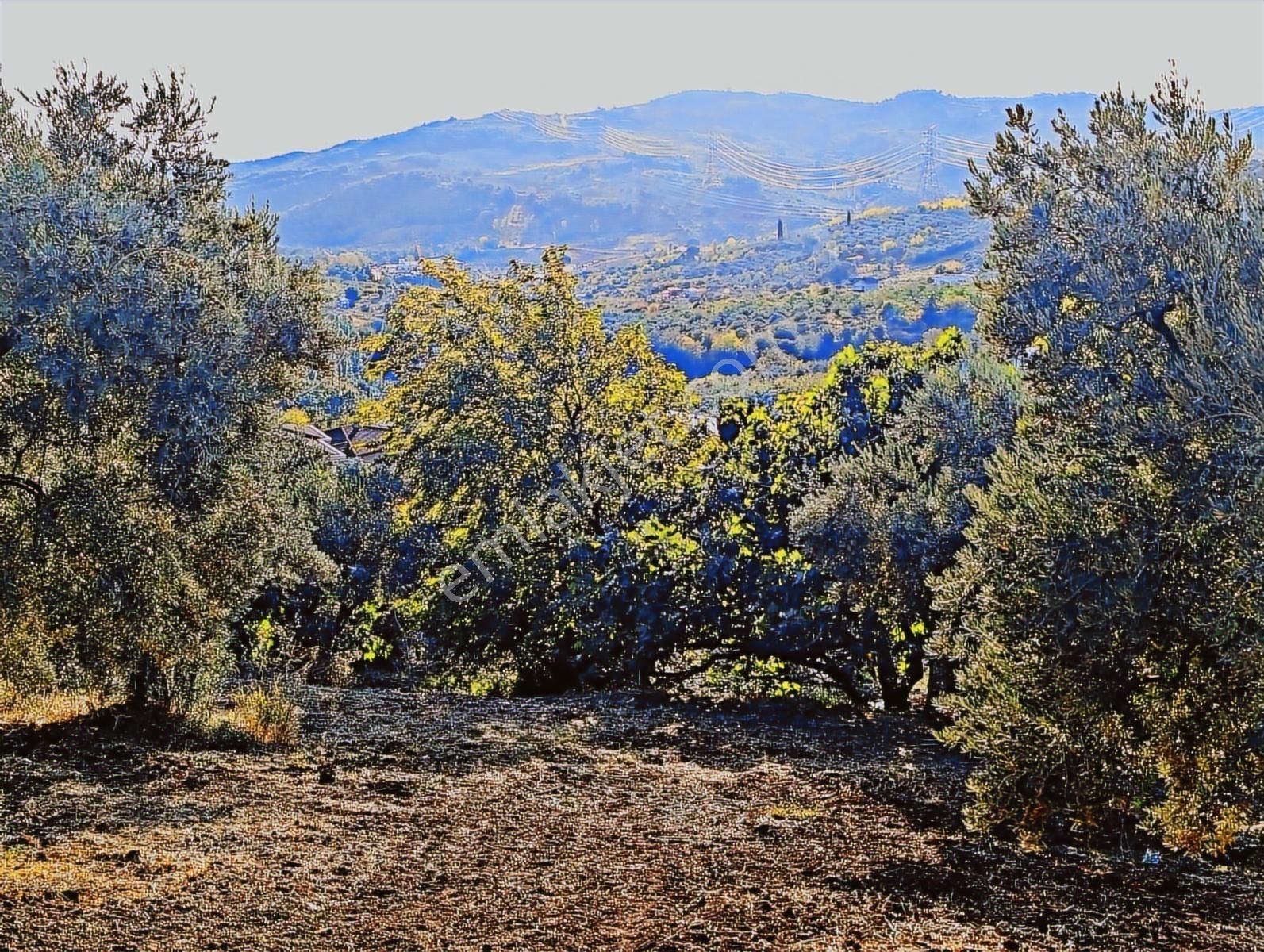 Dürdane Köyünde Villa İmarlı Satılık Arsa - Görsel 14