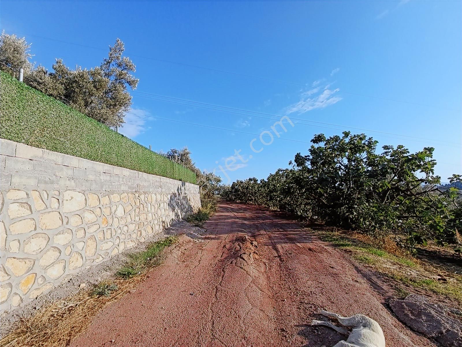 Dürdane Köyünde Villa İmarlı Satılık Arsa - Görsel 7