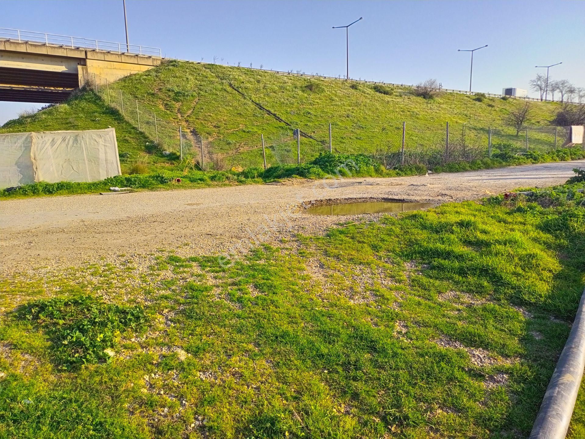 Torbalı Mah. Tek Tapu, Müstakil Parsel, Yol Cepheli, Masa Üstü Gibi Düz 7.700m2 Arazimiz Satılık - Görsel 2