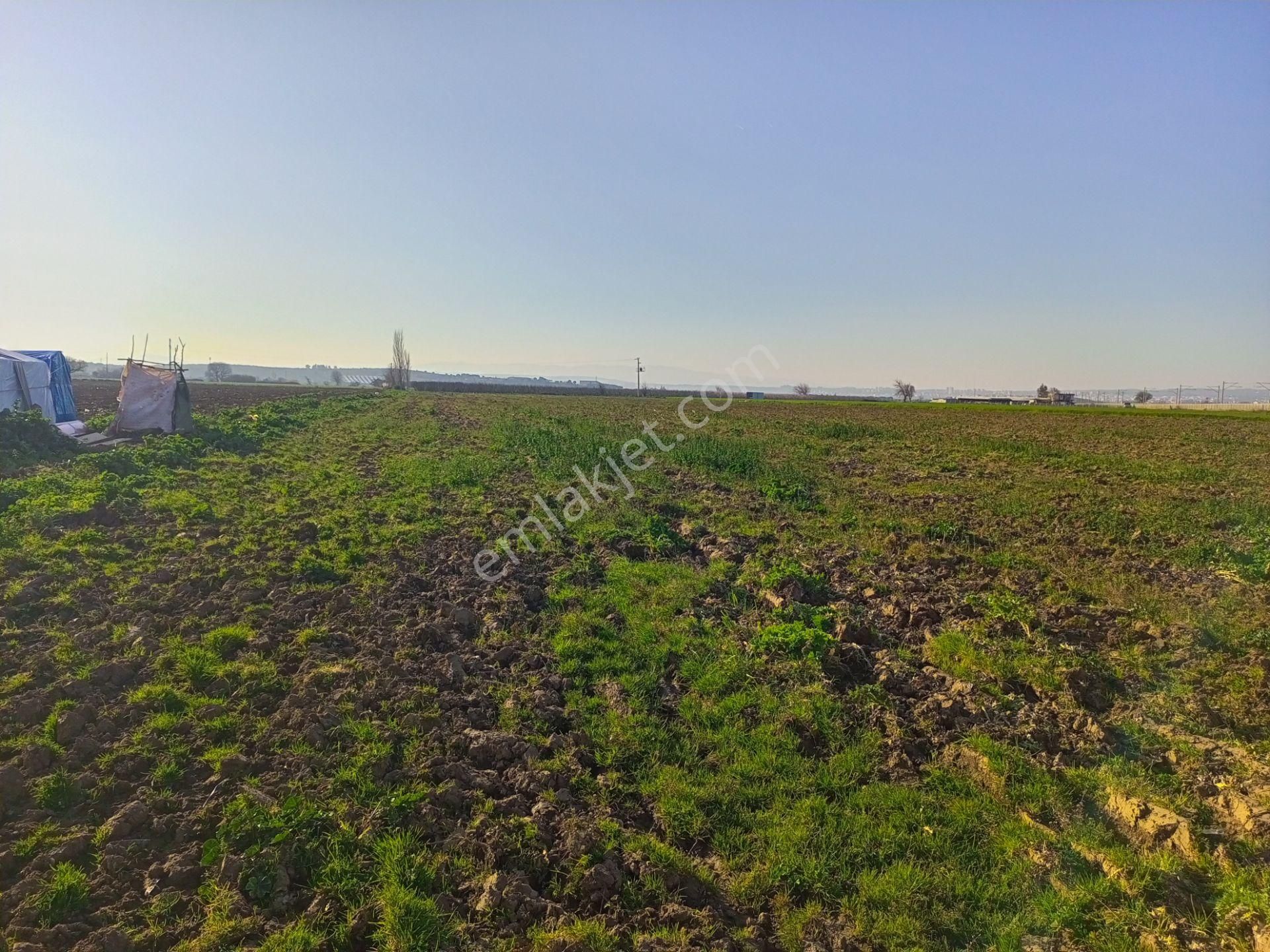 Torbalı Mah. Tek Tapu, Müstakil Parsel, Yol Cepheli, Masa Üstü Gibi Düz 7.700m2 Arazimiz Satılık - Görsel 5