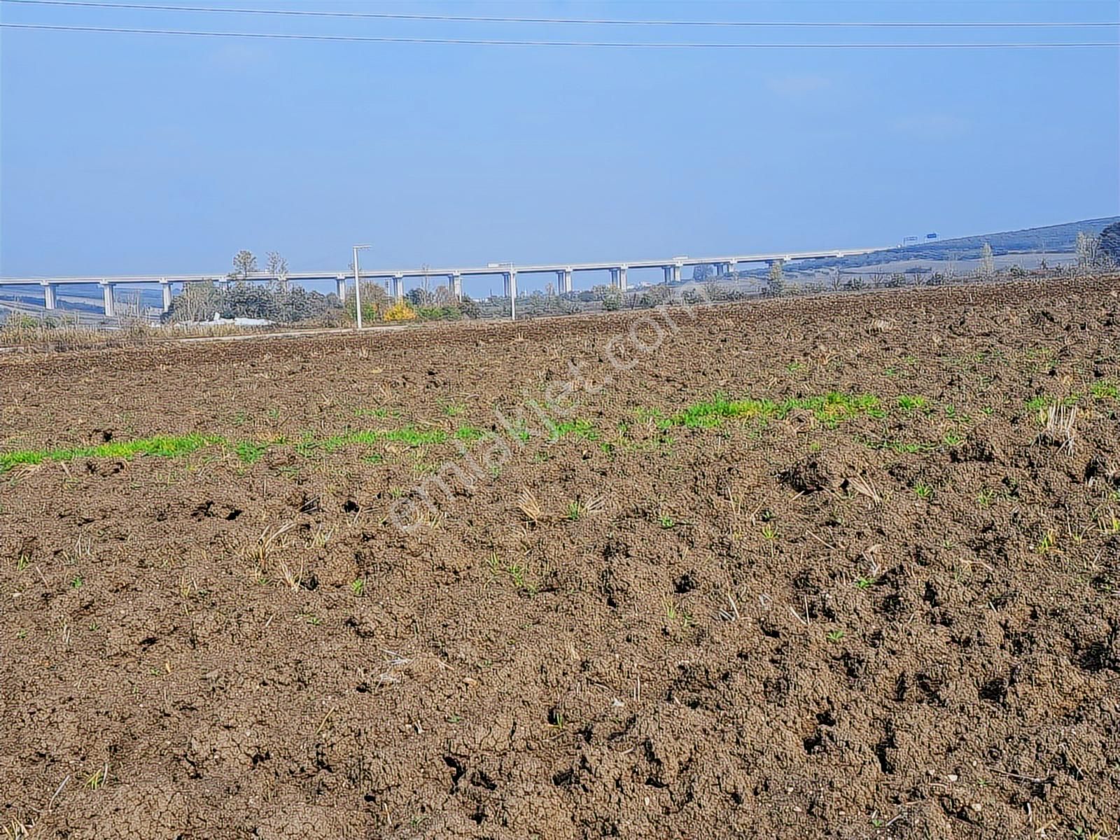 Nilüfer Büyükbalıklı Sanayi İmarı Dibinde Satılık 5750 M2 Arazi - Görsel 11