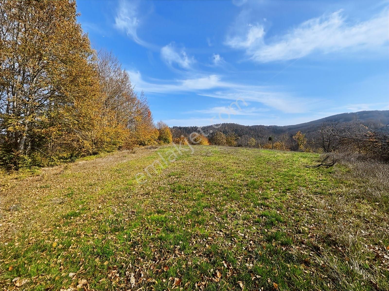 İznik Candarlı Mah Konut İmarlı Manzaralı Satılık 17348 M2 Arsa - Görsel 23