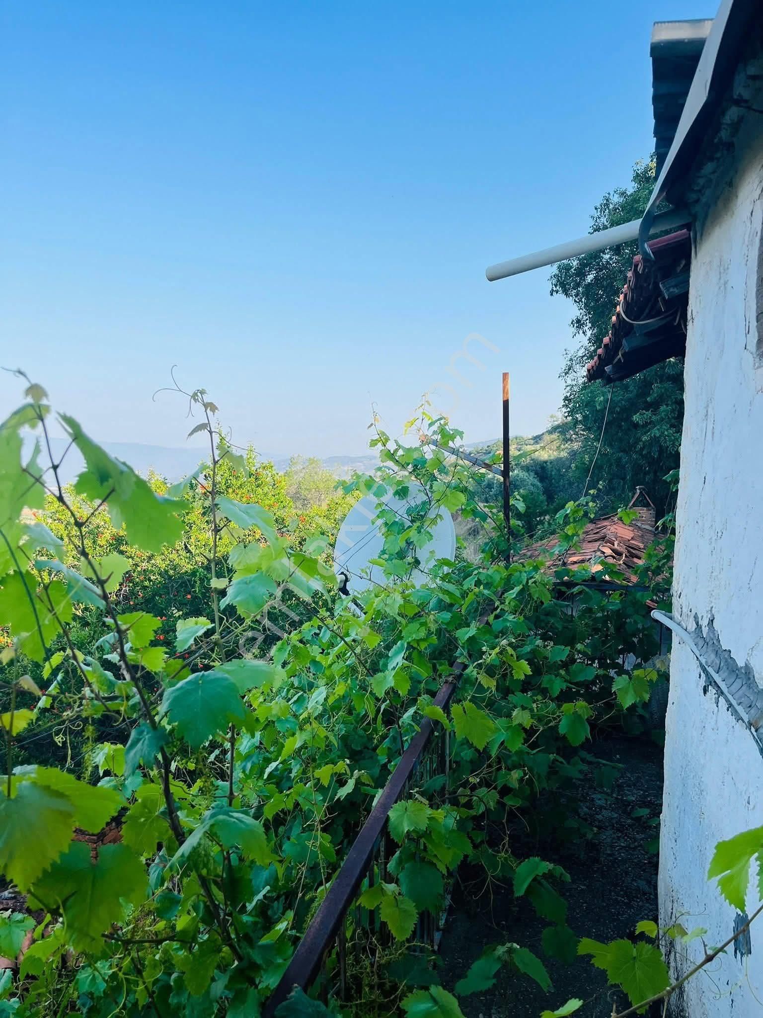 Doğa İçinde Manzaralı, Meyve Ağaçlı Satılık Müstakil Ev – 1.500.000 ₺ - Görsel 14