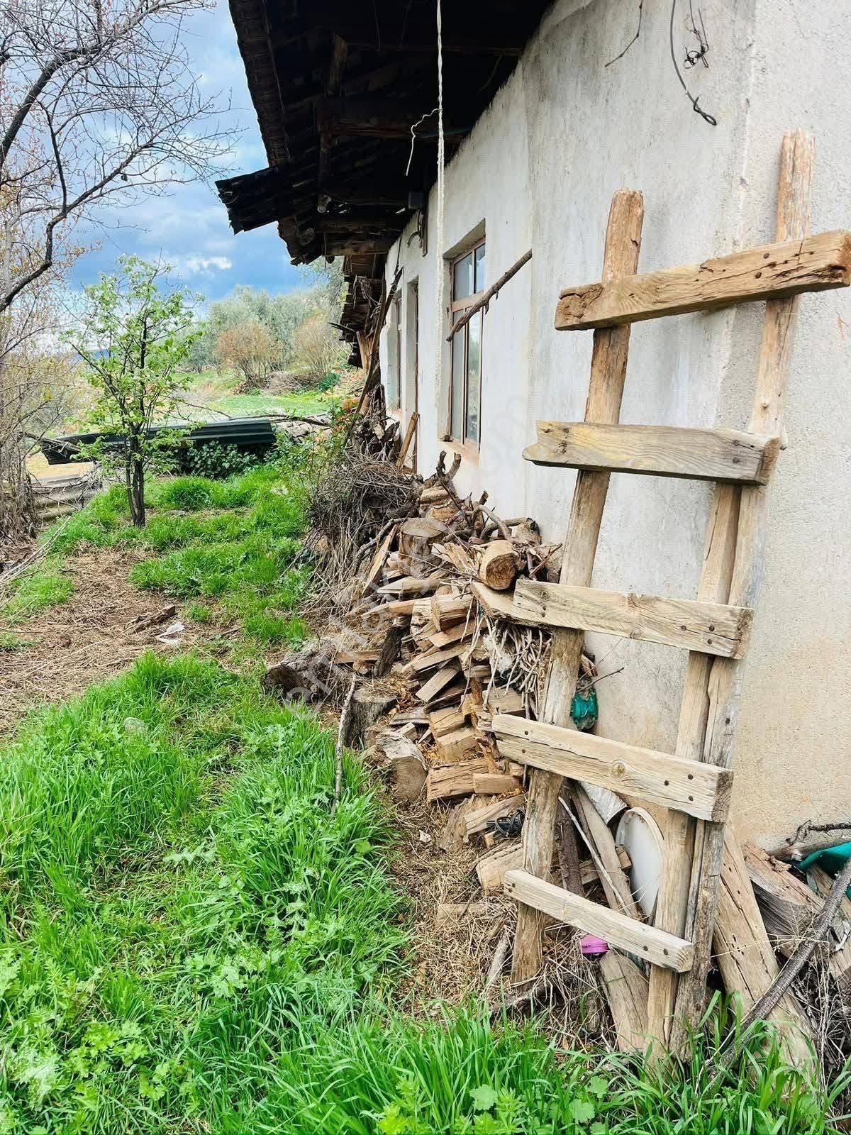 Doğa İçinde Manzaralı, Meyve Ağaçlı Satılık Müstakil Ev – 1.500.000 ₺ - Görsel 2