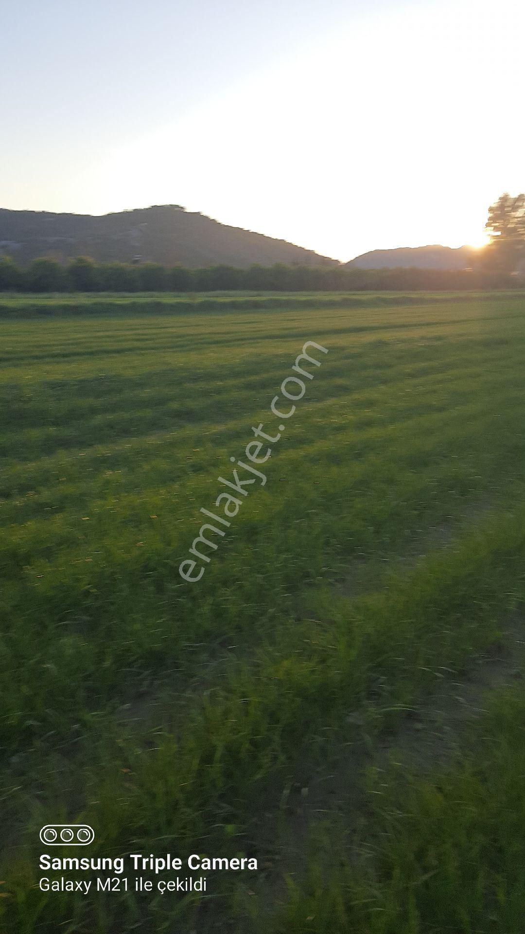 Ortaca Fevziye 7100 M2 Tarla
