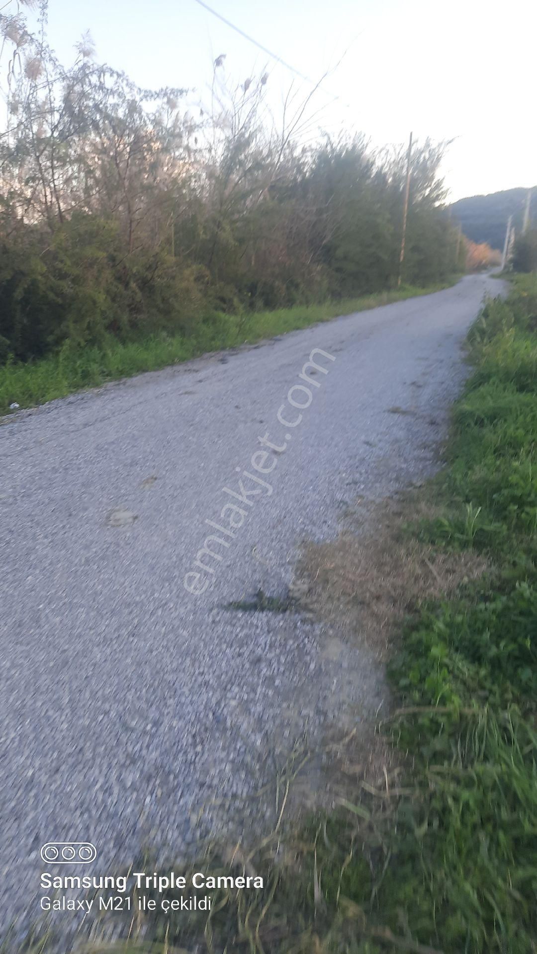 Ortaca Fevziye 7100 M2 Tarla - Görsel 2