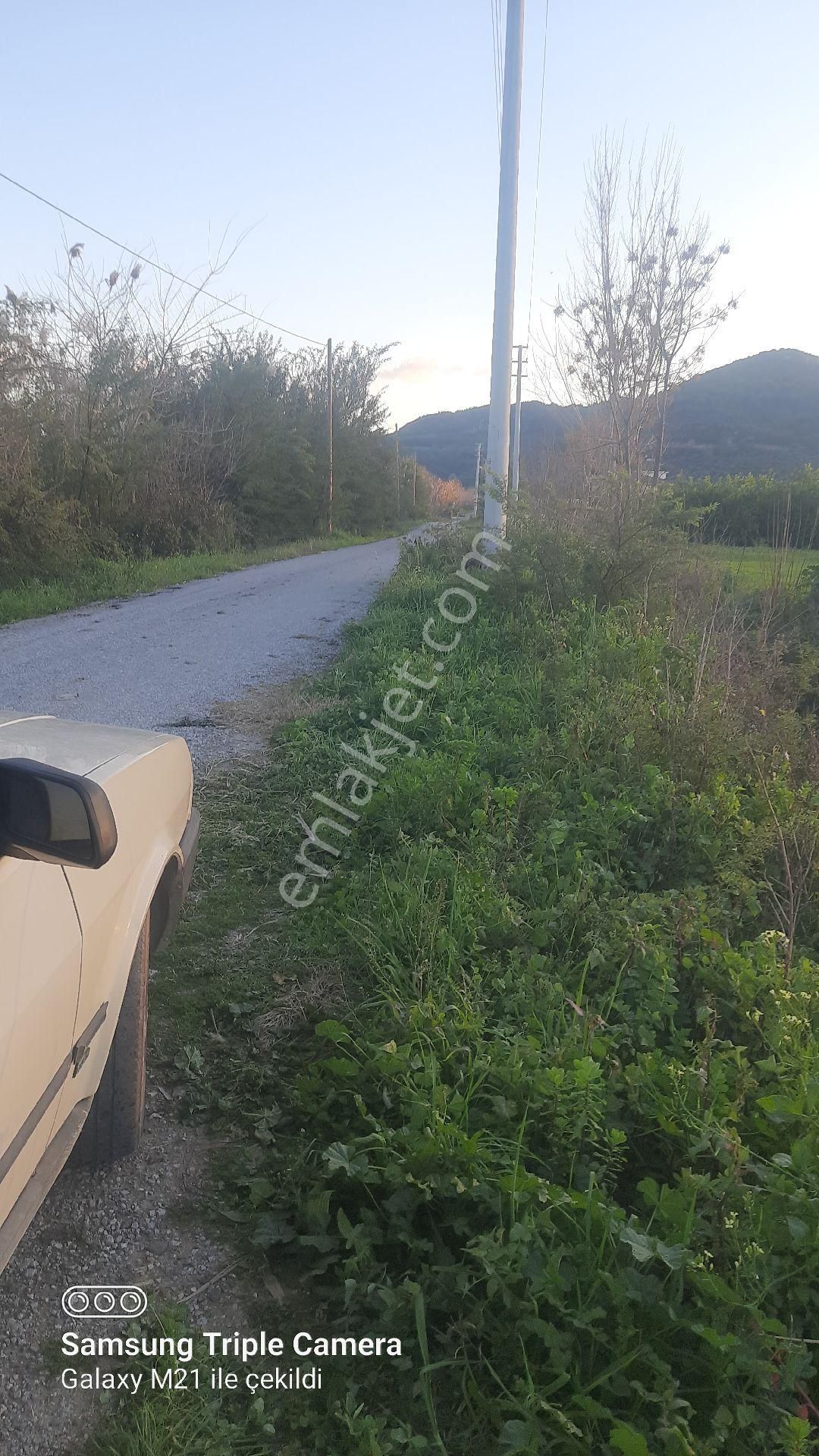 Ortaca Fevziye 7100 M2 Tarla - Görsel 3