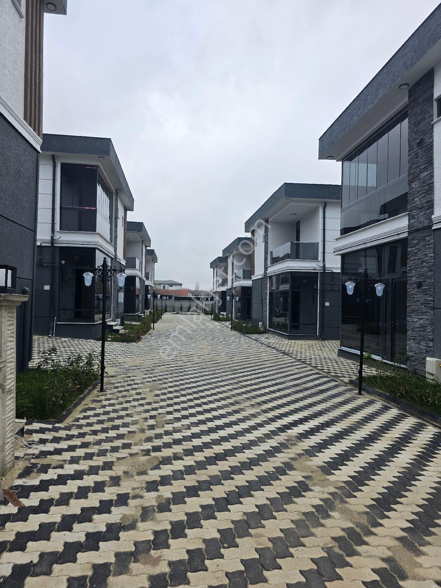 Ambarderede 3 - Görsel 2